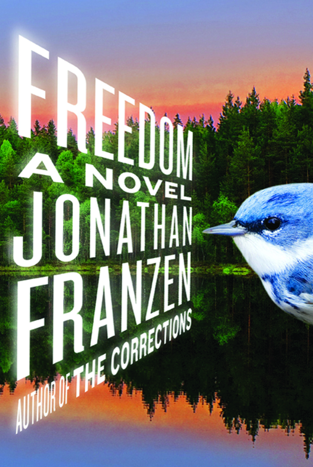 jonathan-franzen-freedom