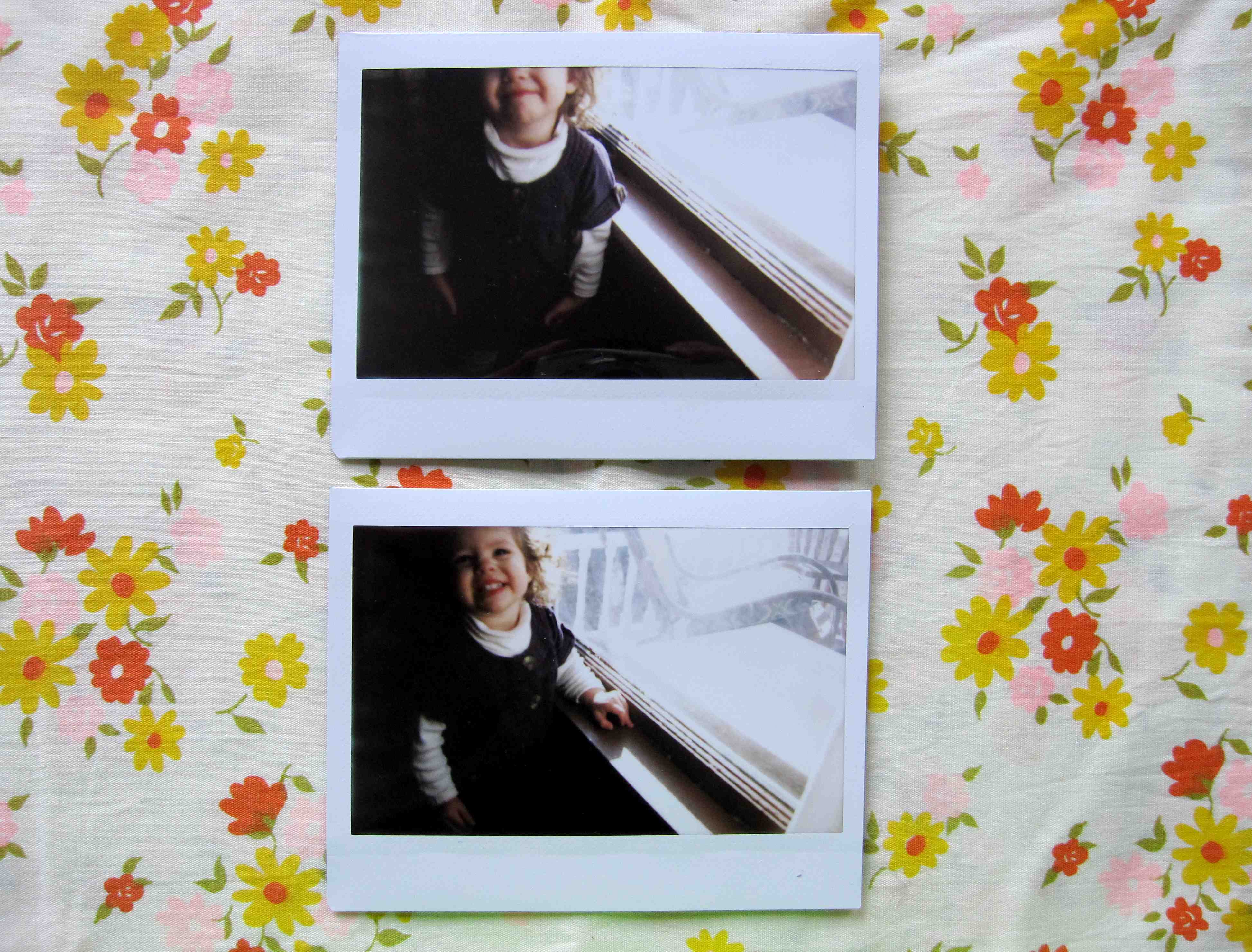 Snapshot