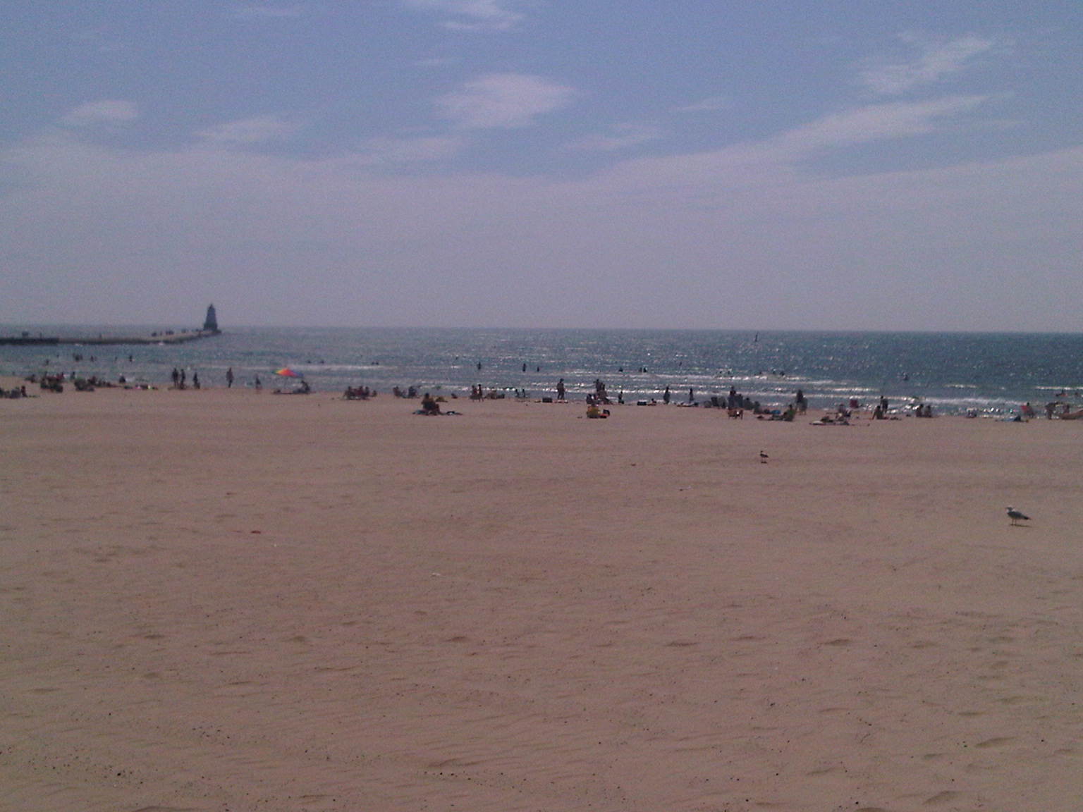 IMG00138-20100706-1558