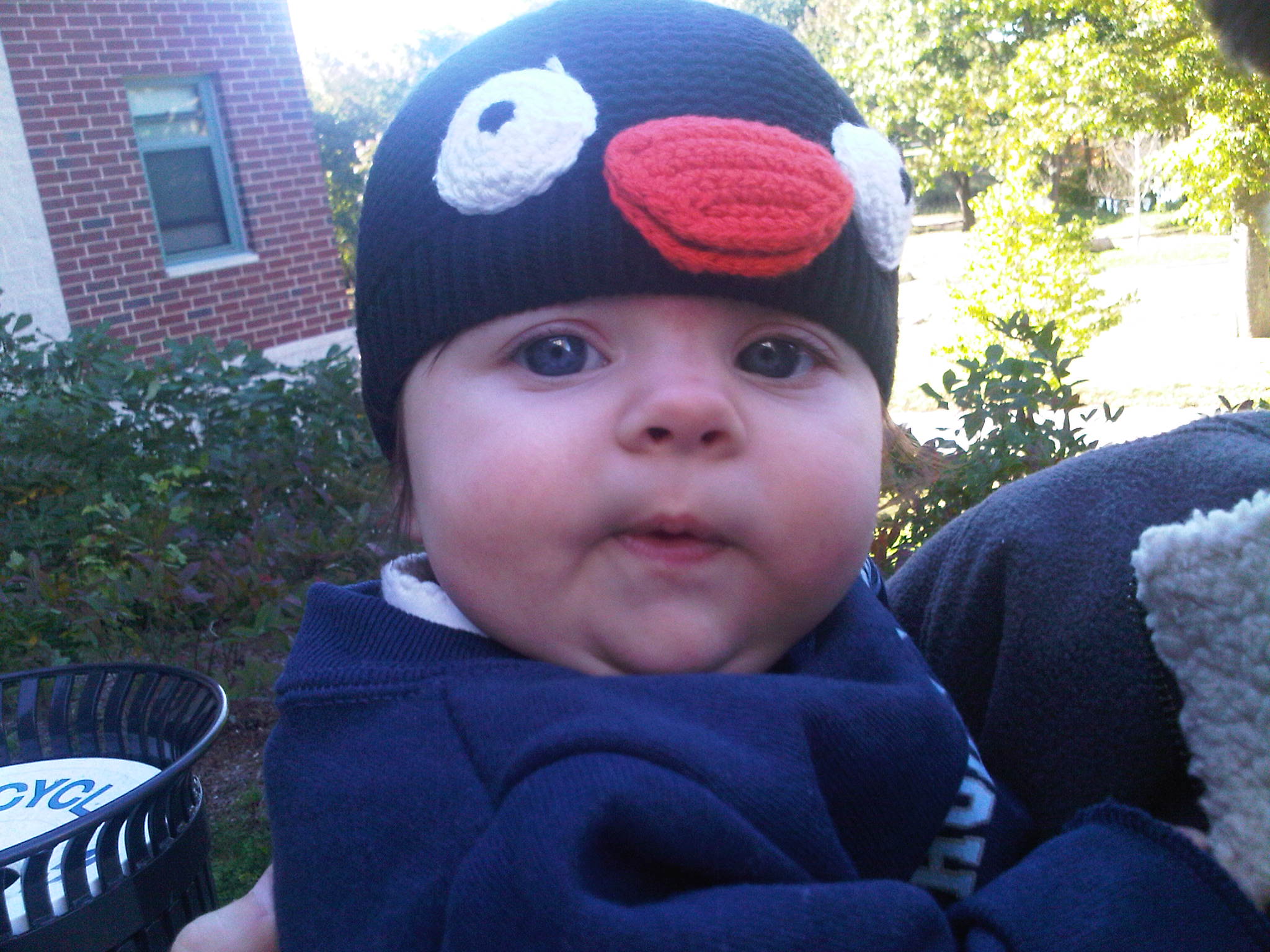 IMG00338-20101010-1504