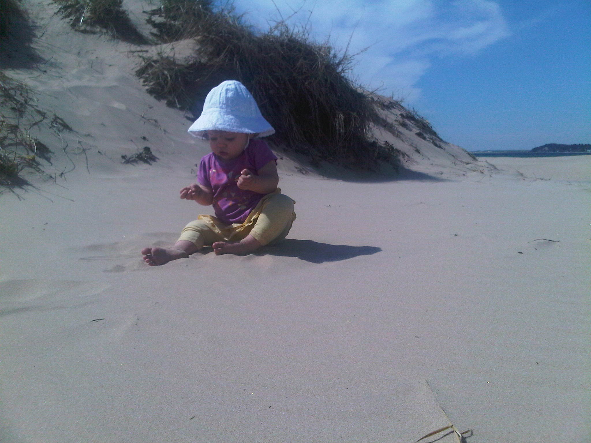 IMG00605-20110519-1614