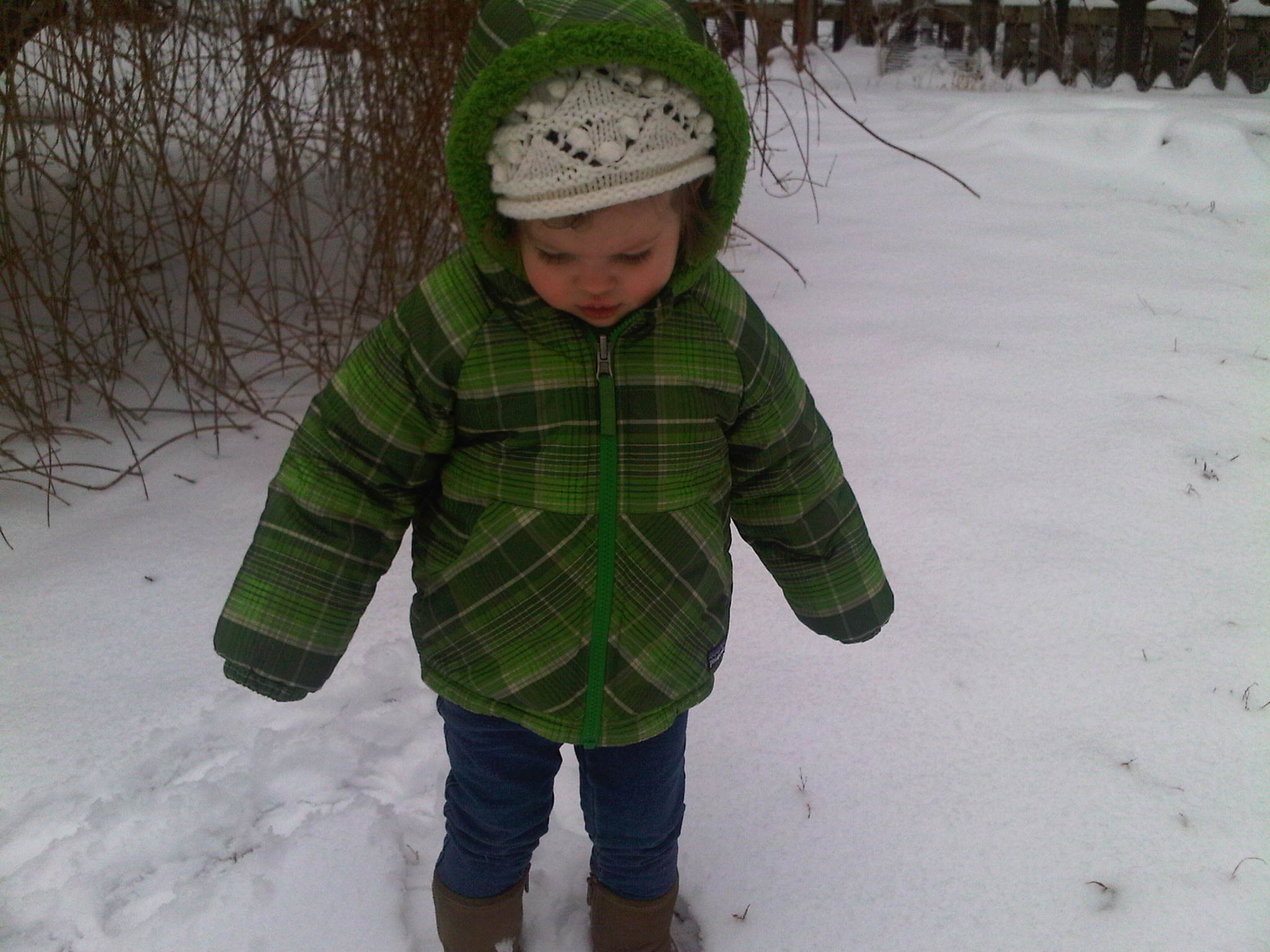 IMG00943-20120213-1146