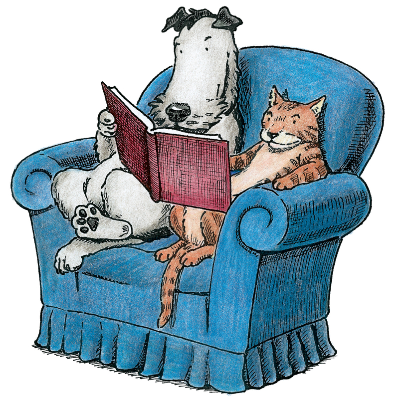 Cat & Dog Storytime