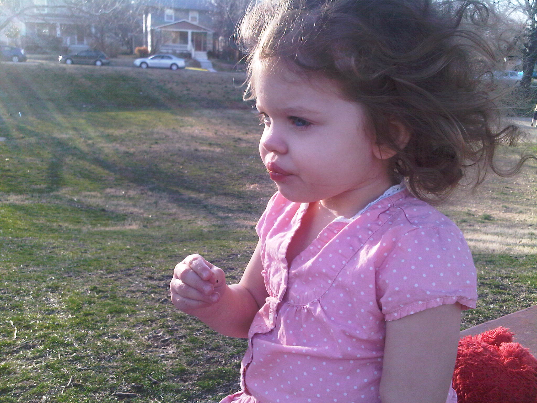 IMG00963-20120301-1657