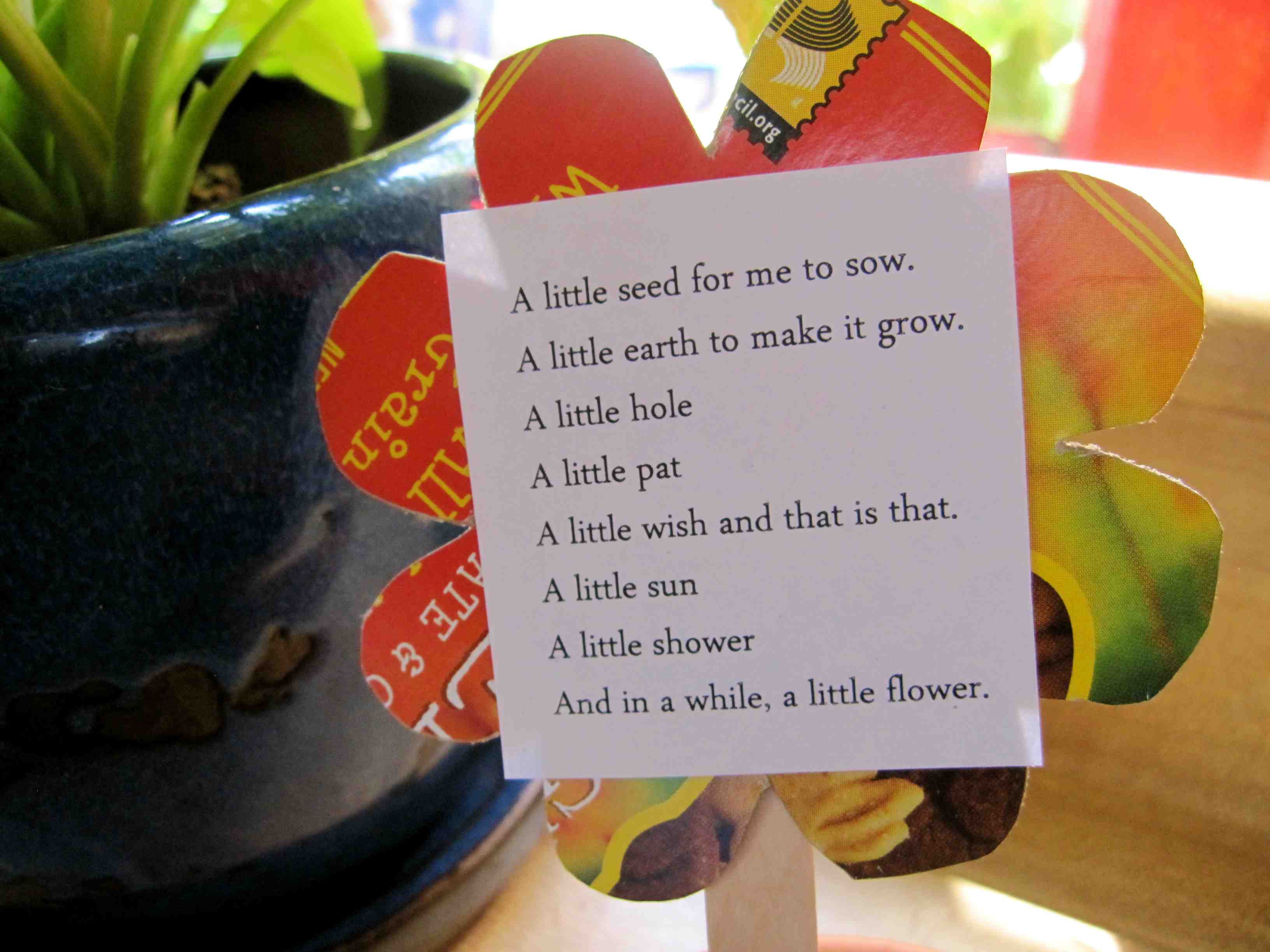 Poetry in Nature