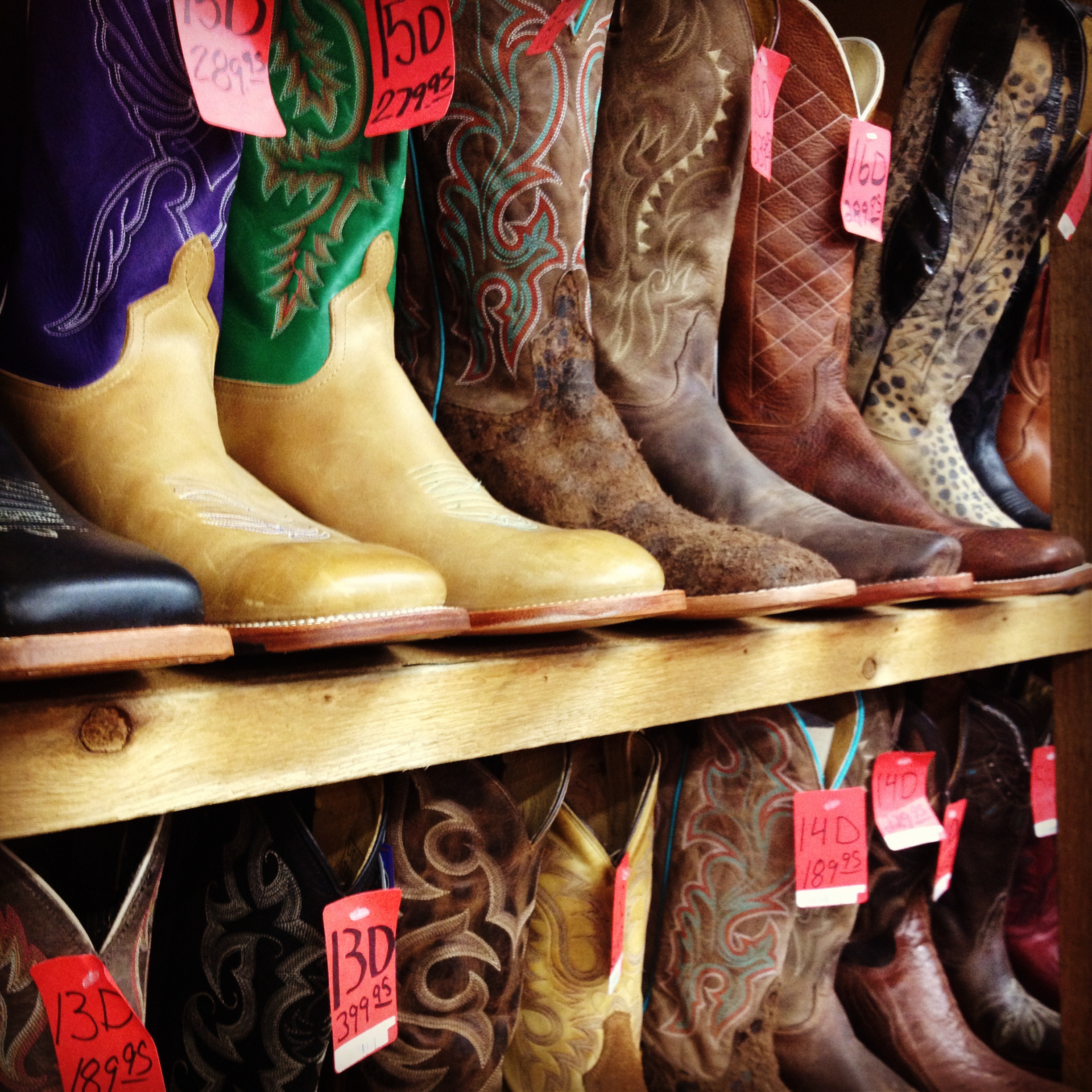Cowtown kicks