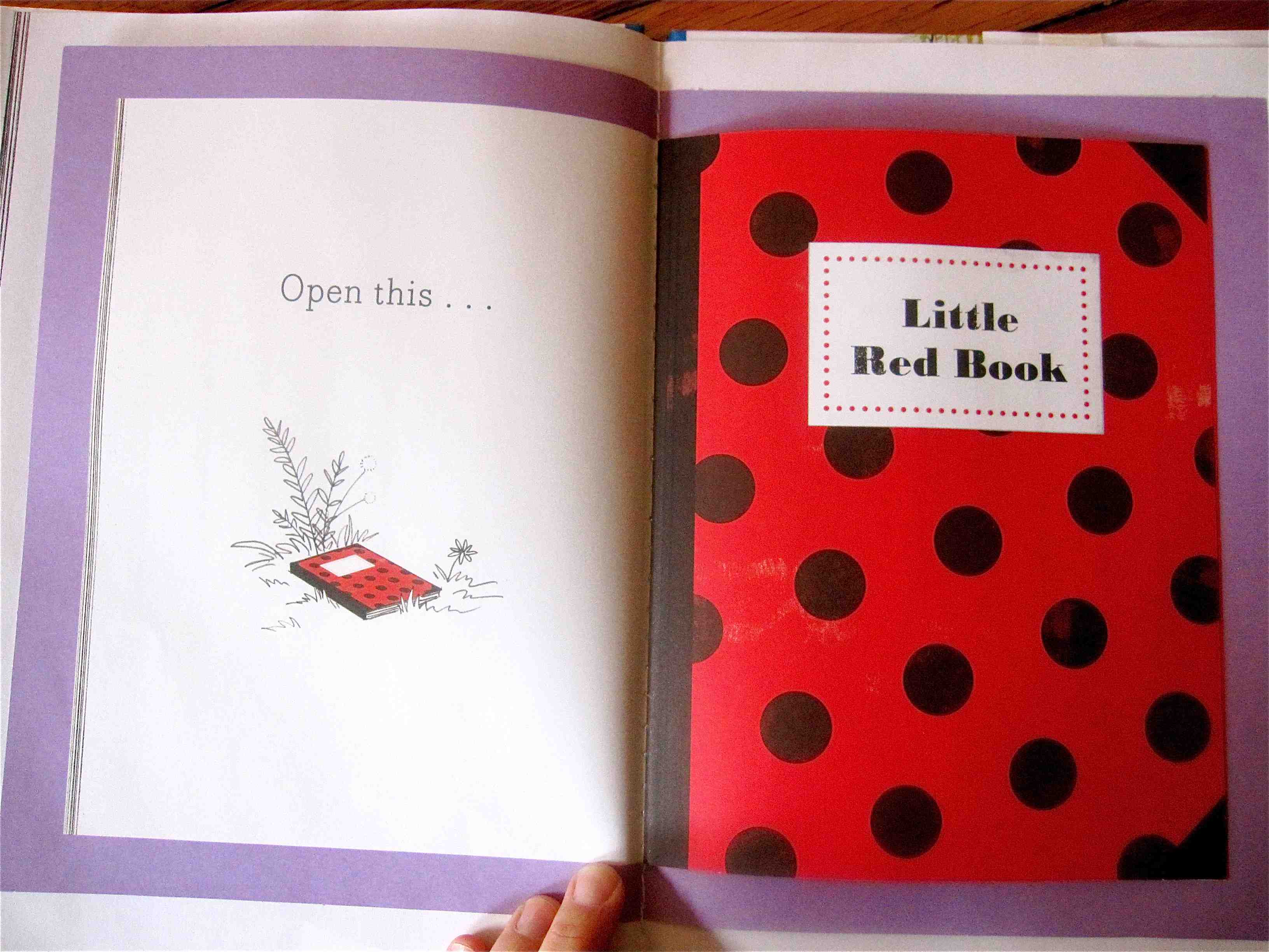 Open This LIttle Book