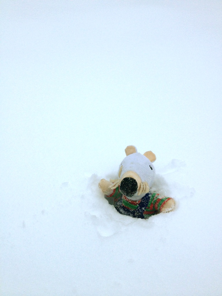 Snowed In