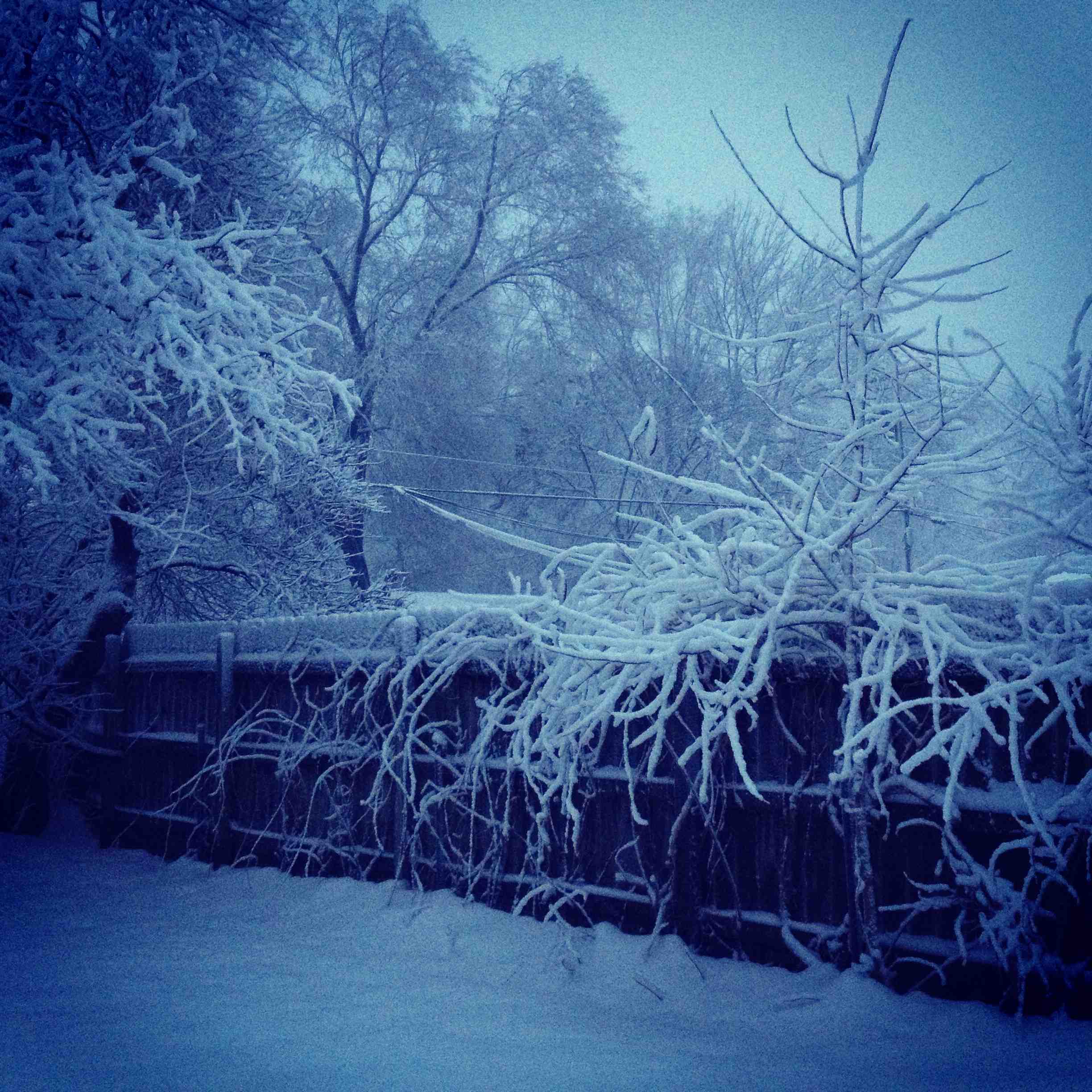 Wintery Spring