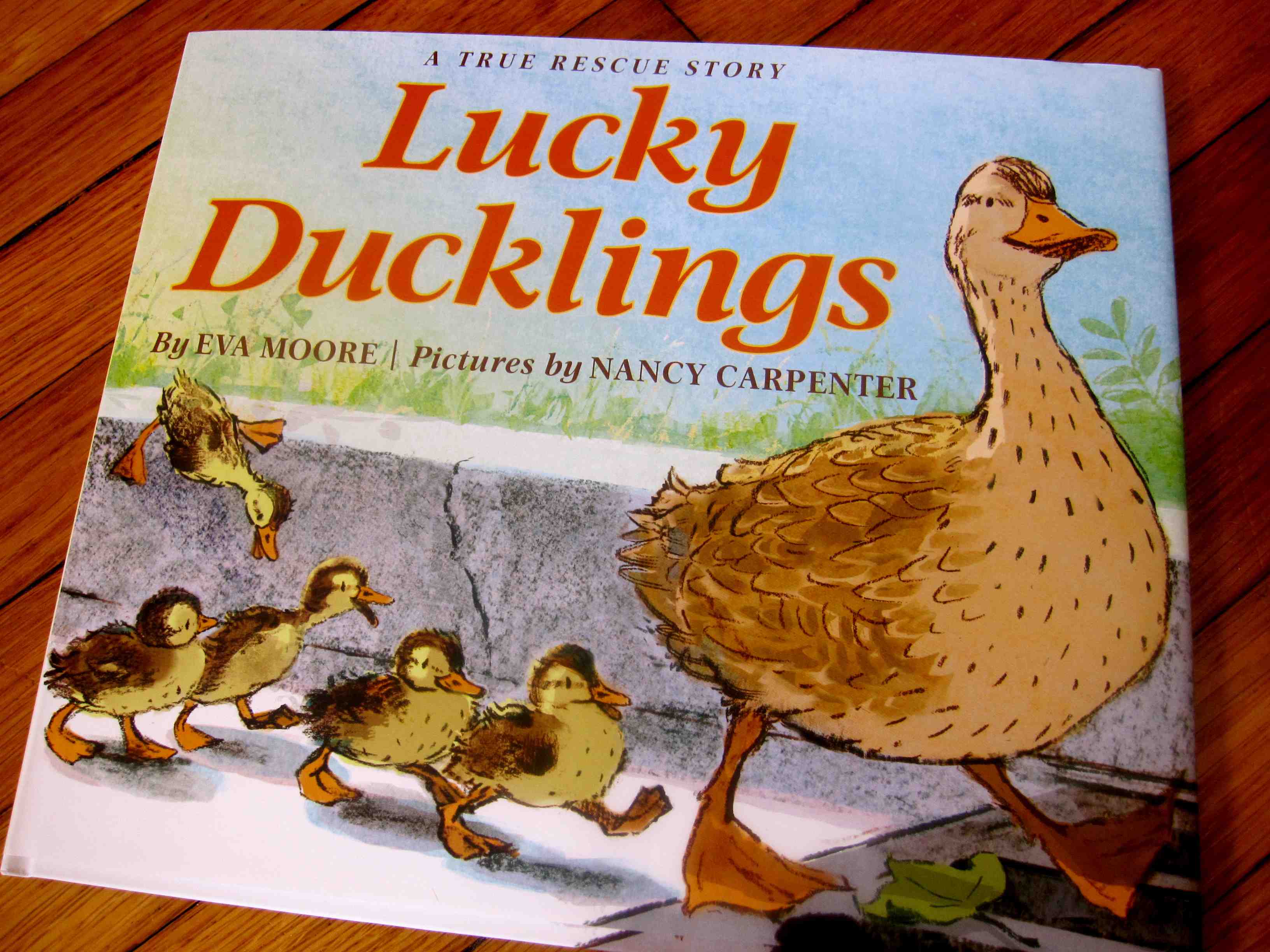 Lucky Ducklings