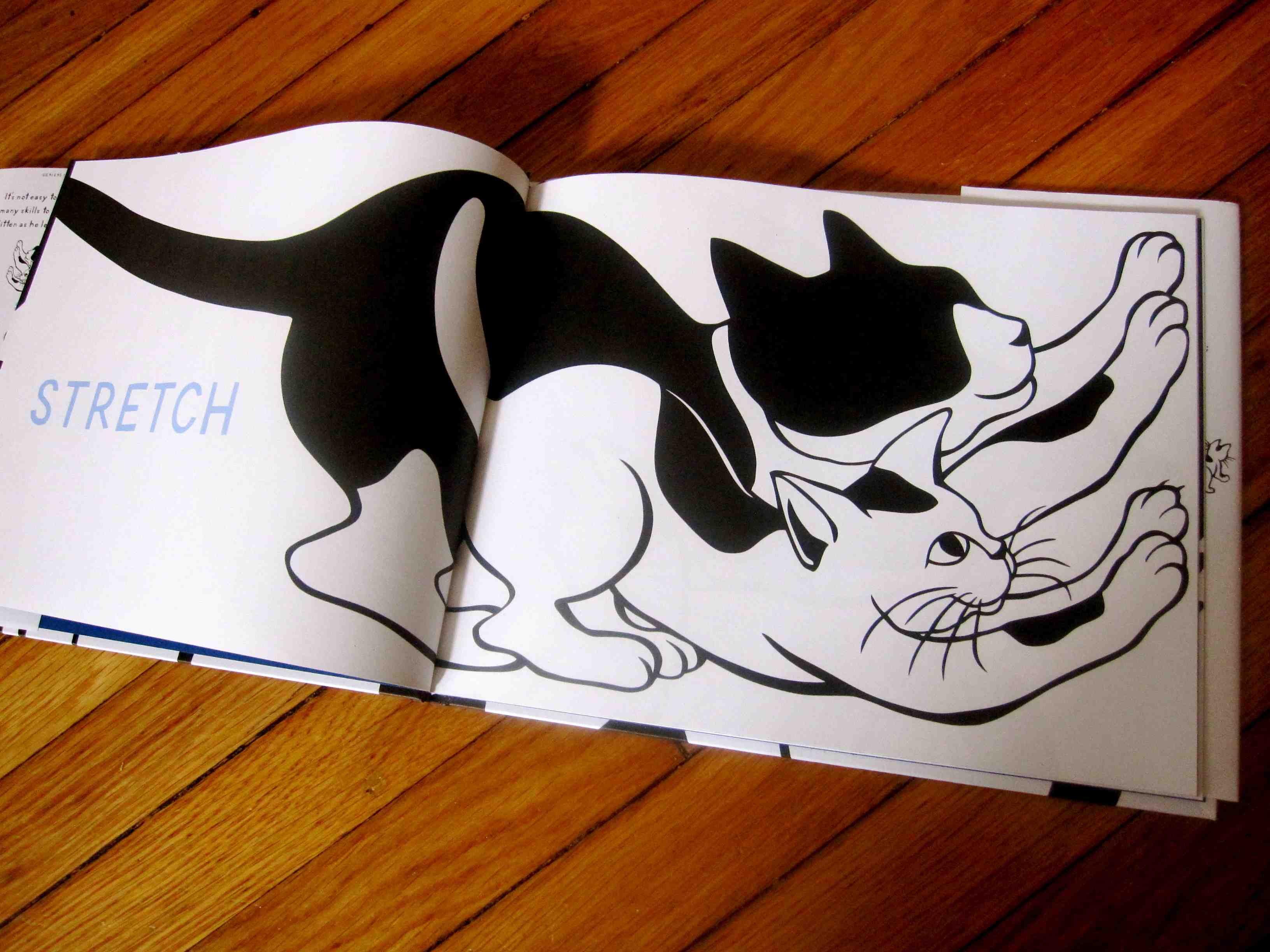 How to Be a Cat