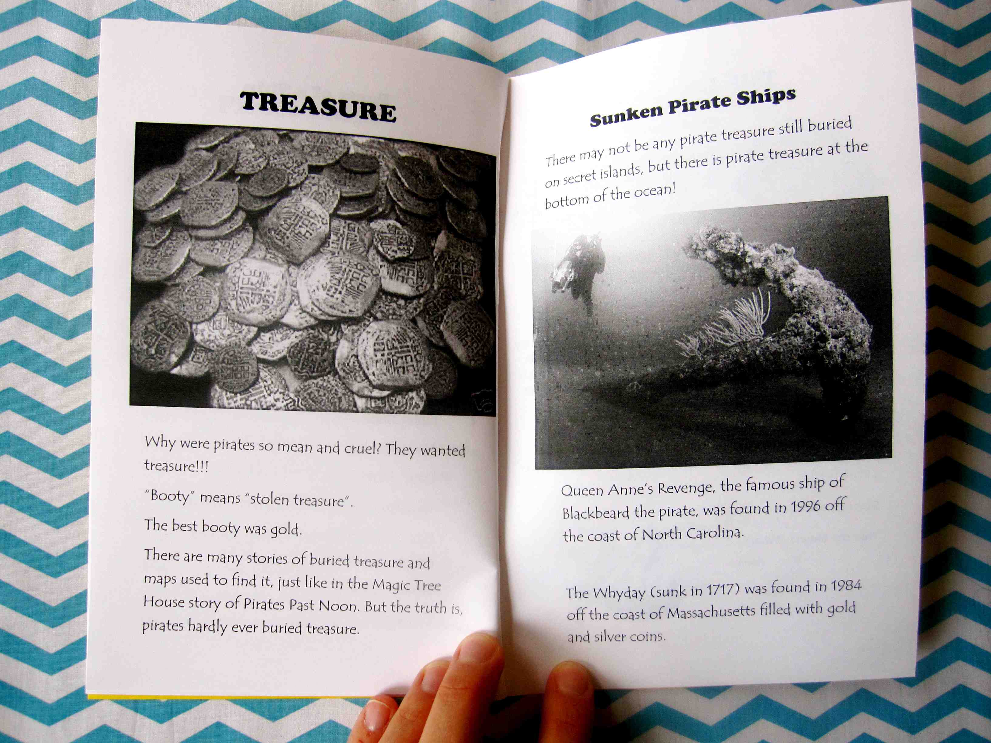 Pirates Past Noon Journal