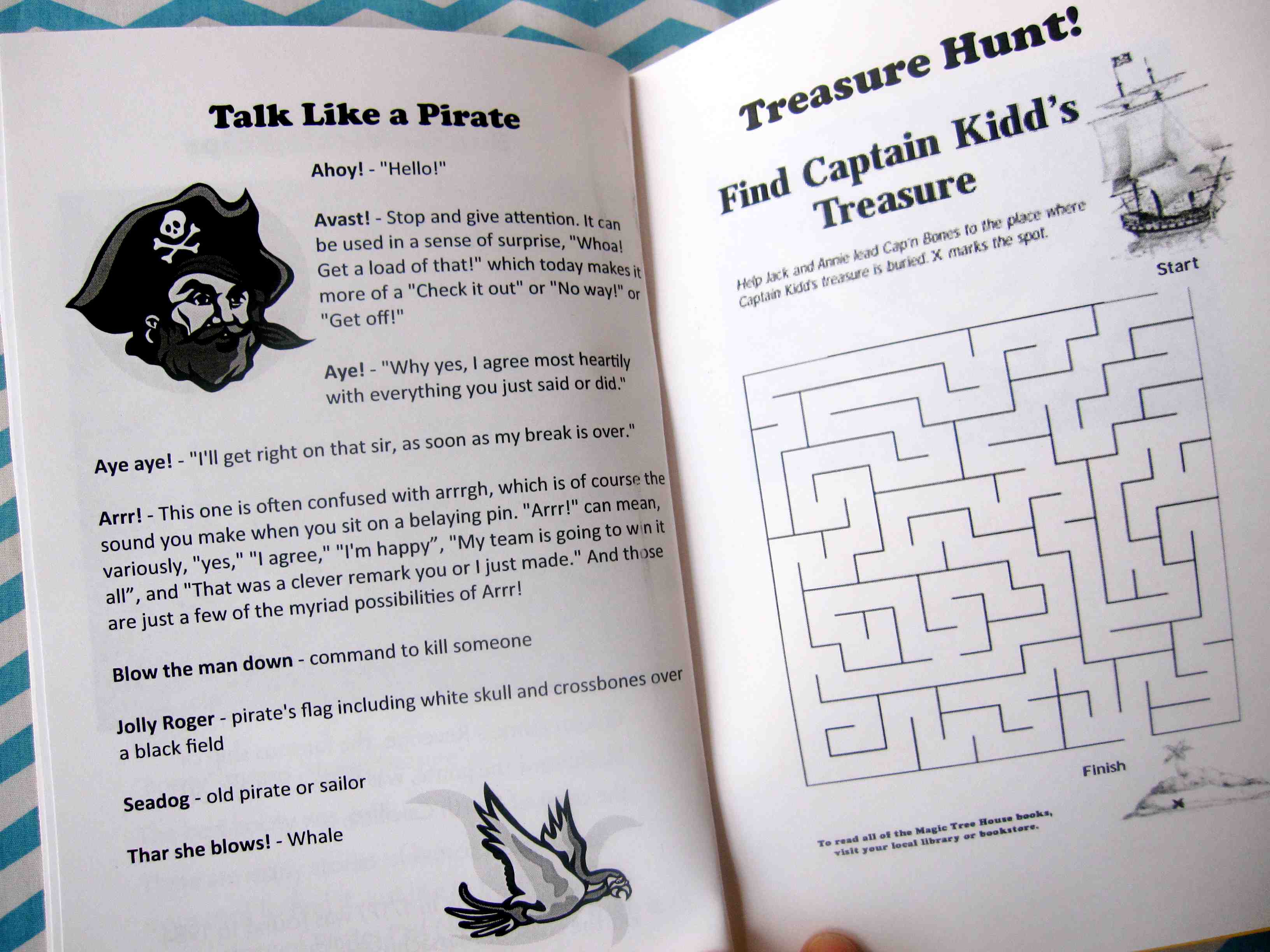 Pirates Past Noon Journal
