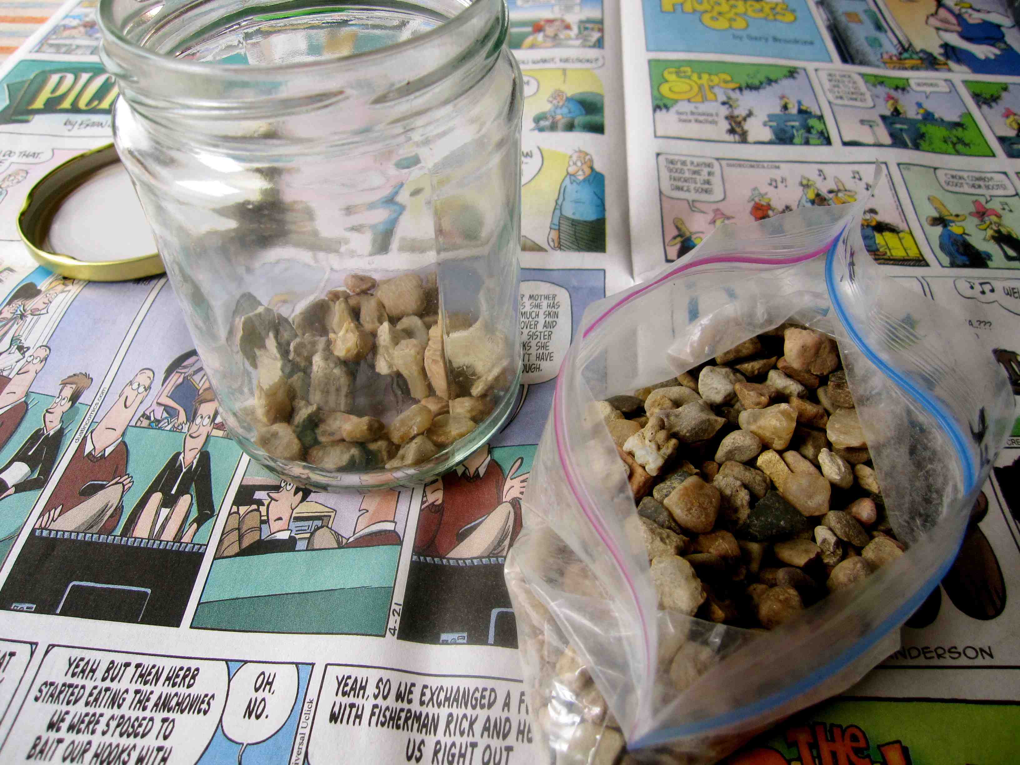 terrarium