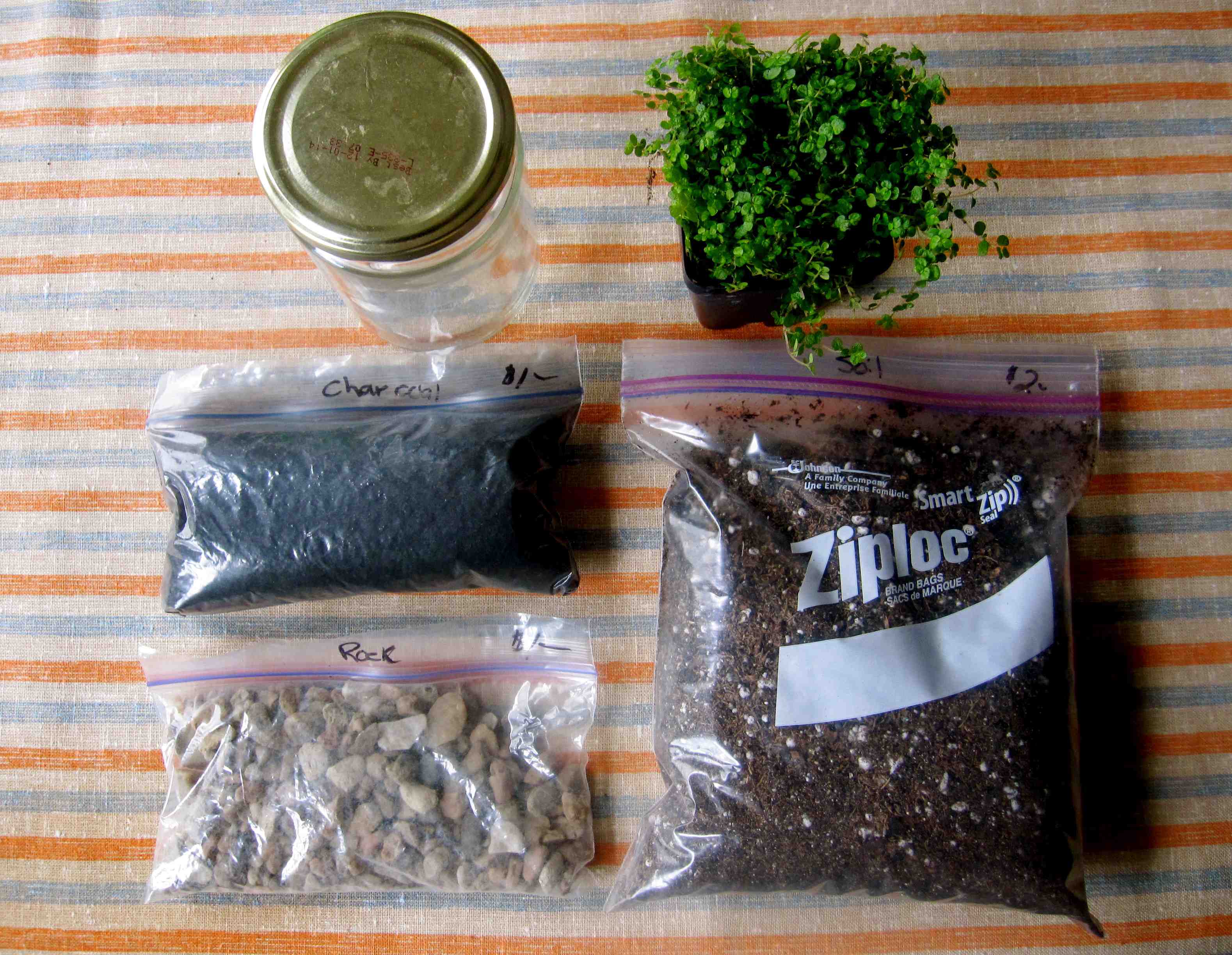 terrarium supplies