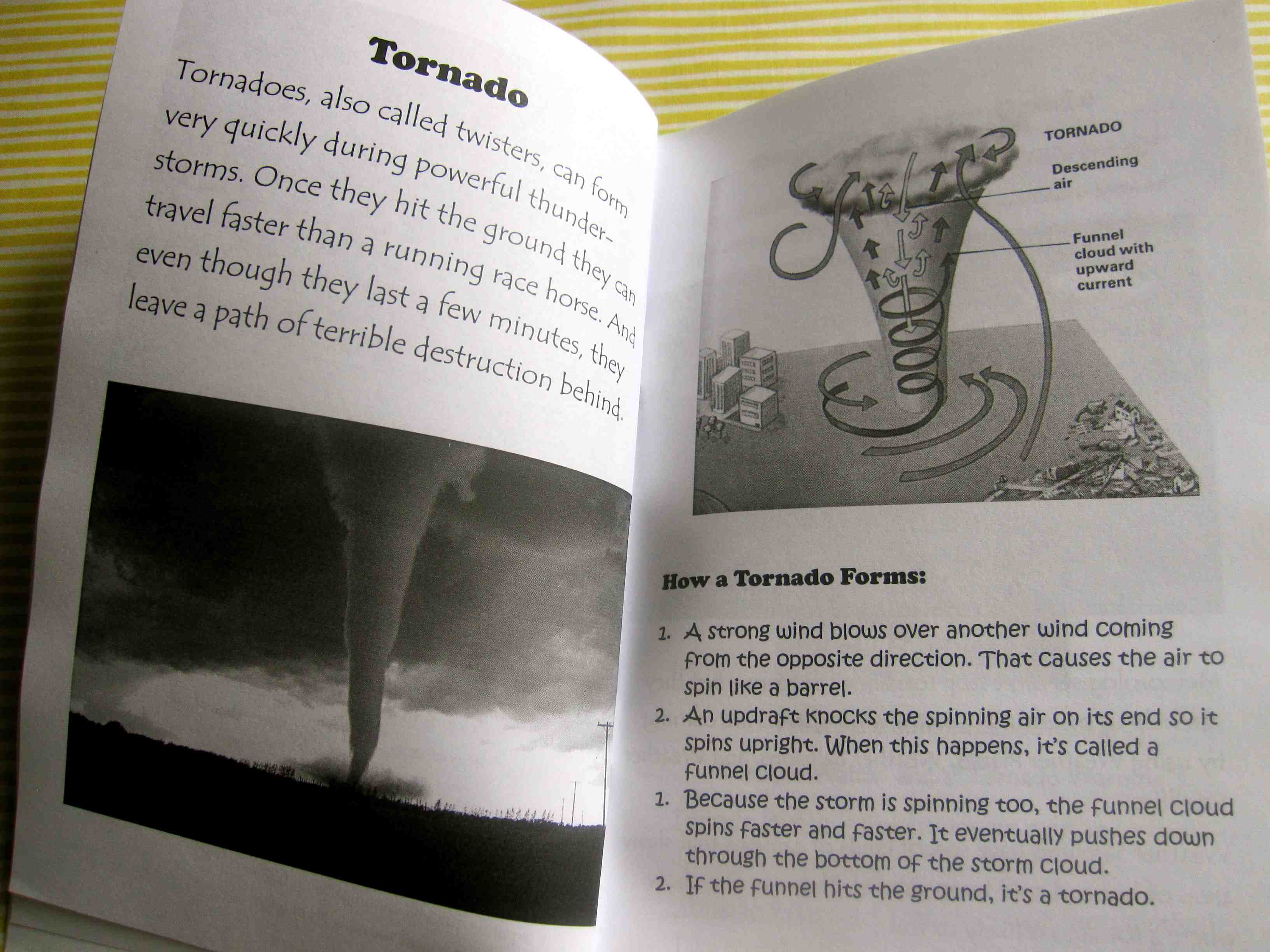 Magic Tree House Journal