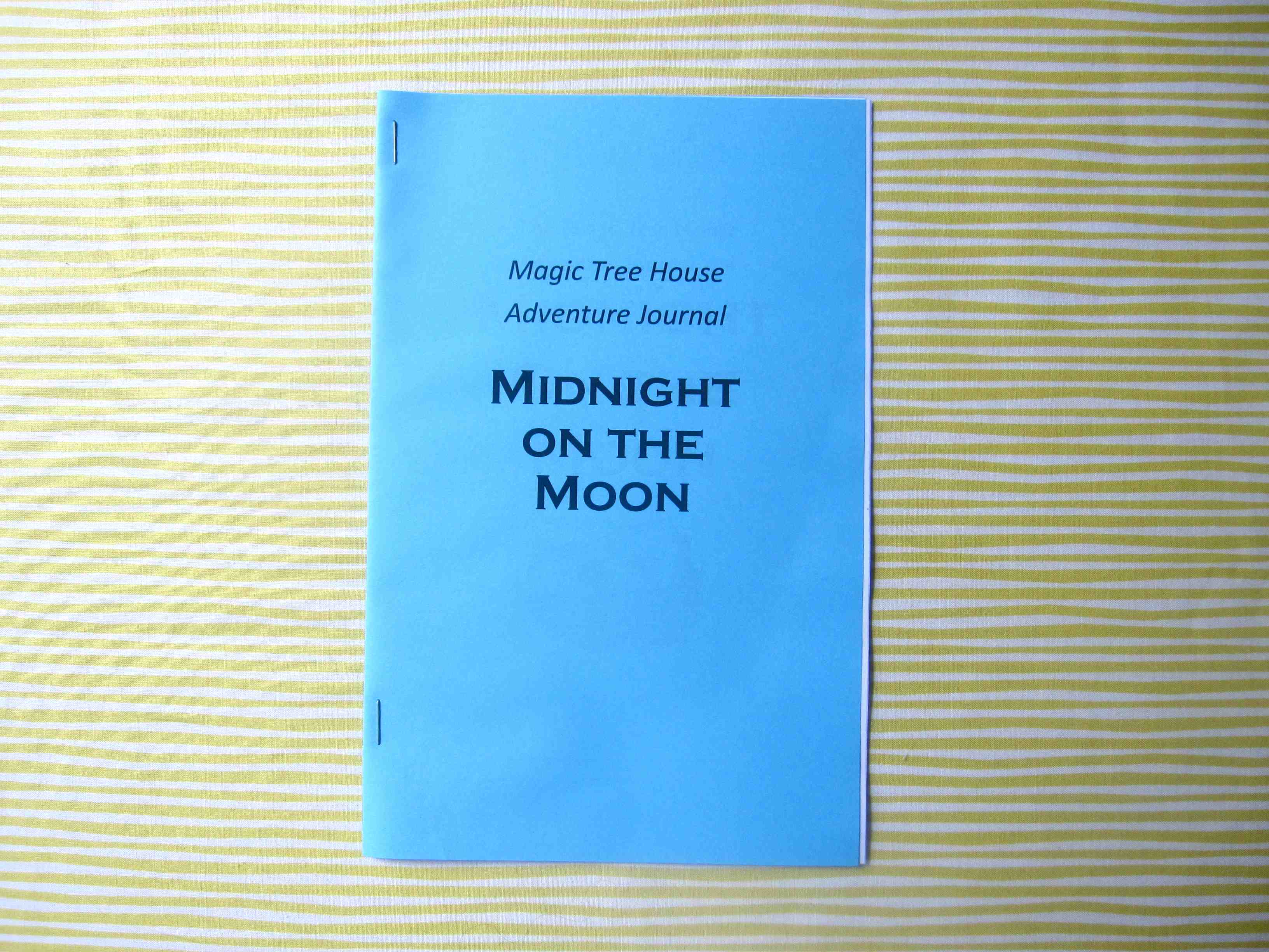 Midnight on the Moon Journal