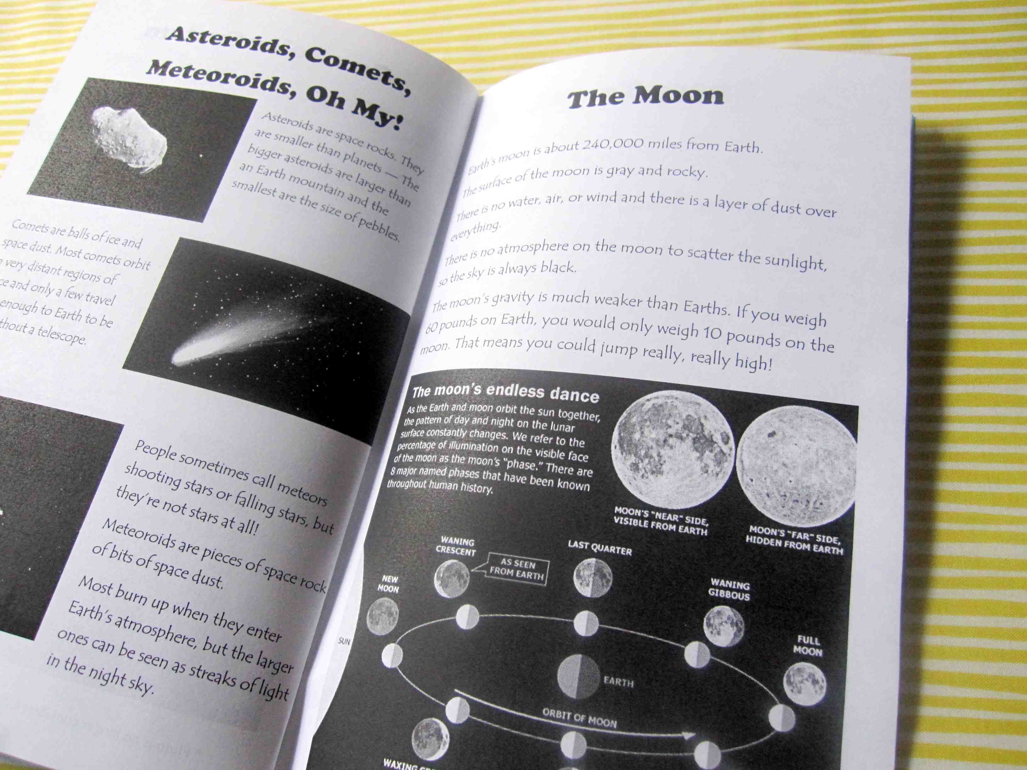 Midnight on the Moon Journal