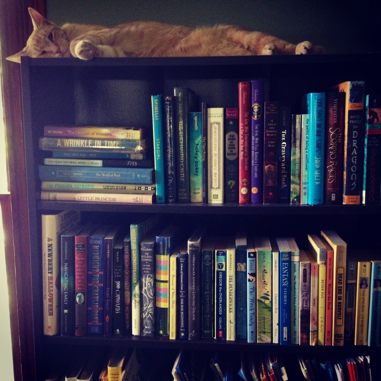 king of the books