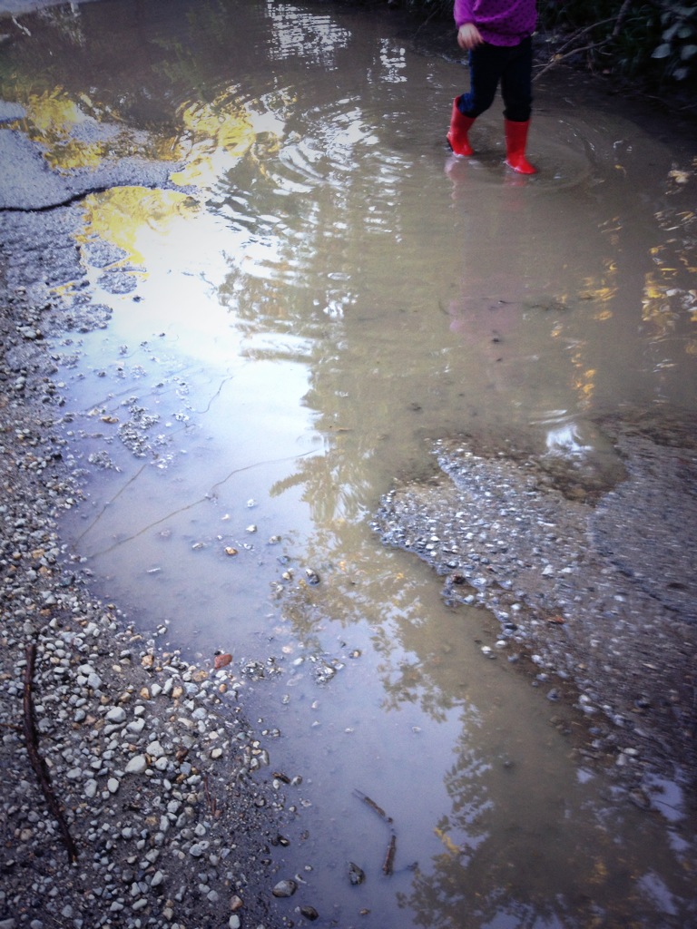 Evening puddle walk