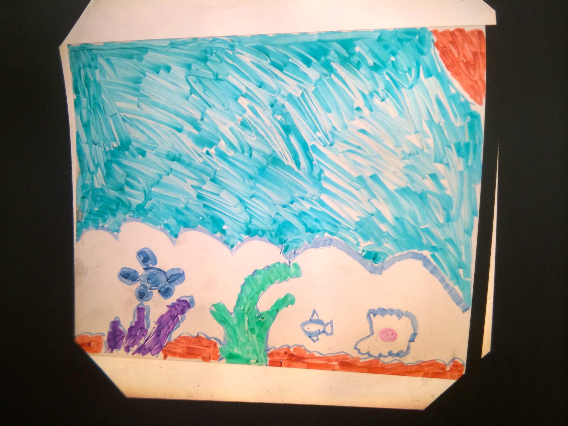 picture show ocean