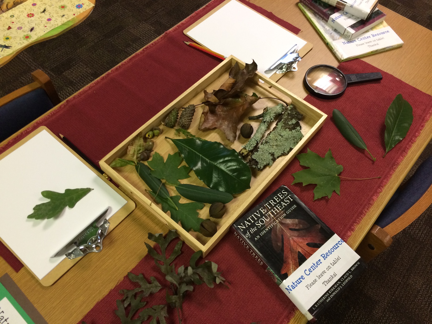 Nature Center in library