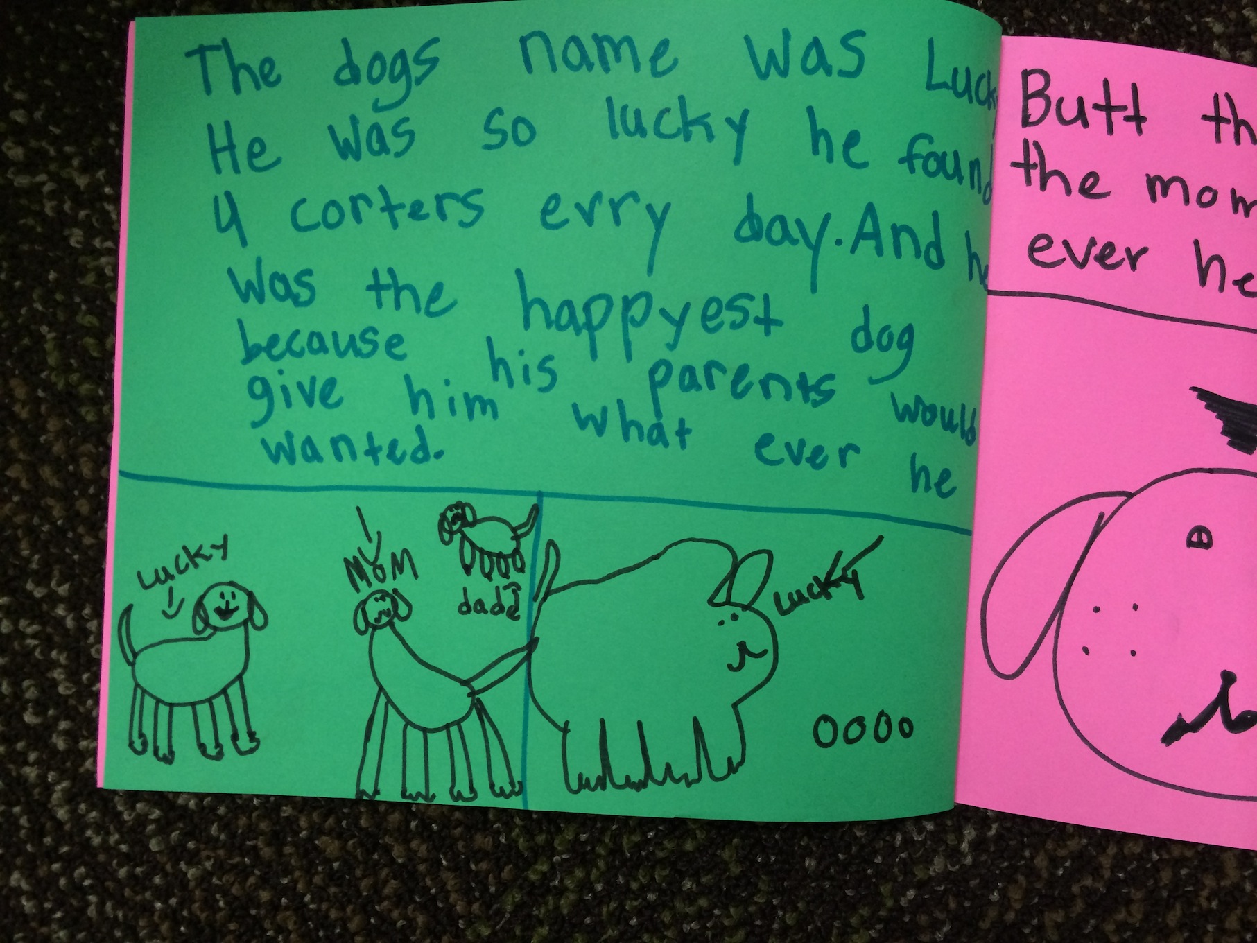 the lucky dog book