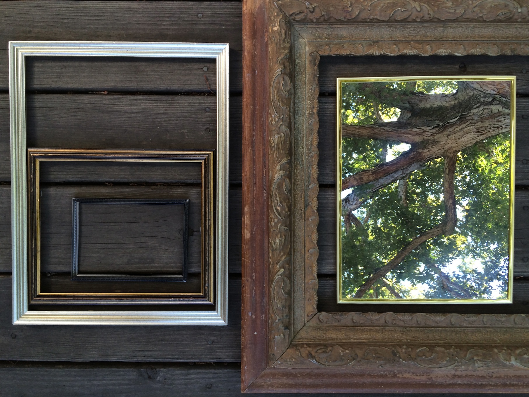 nature provocation