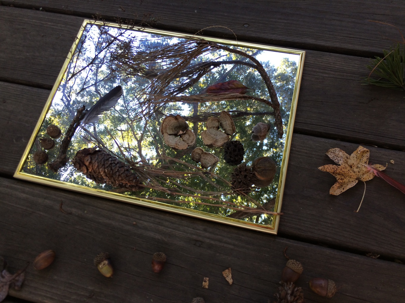 mirror fall art