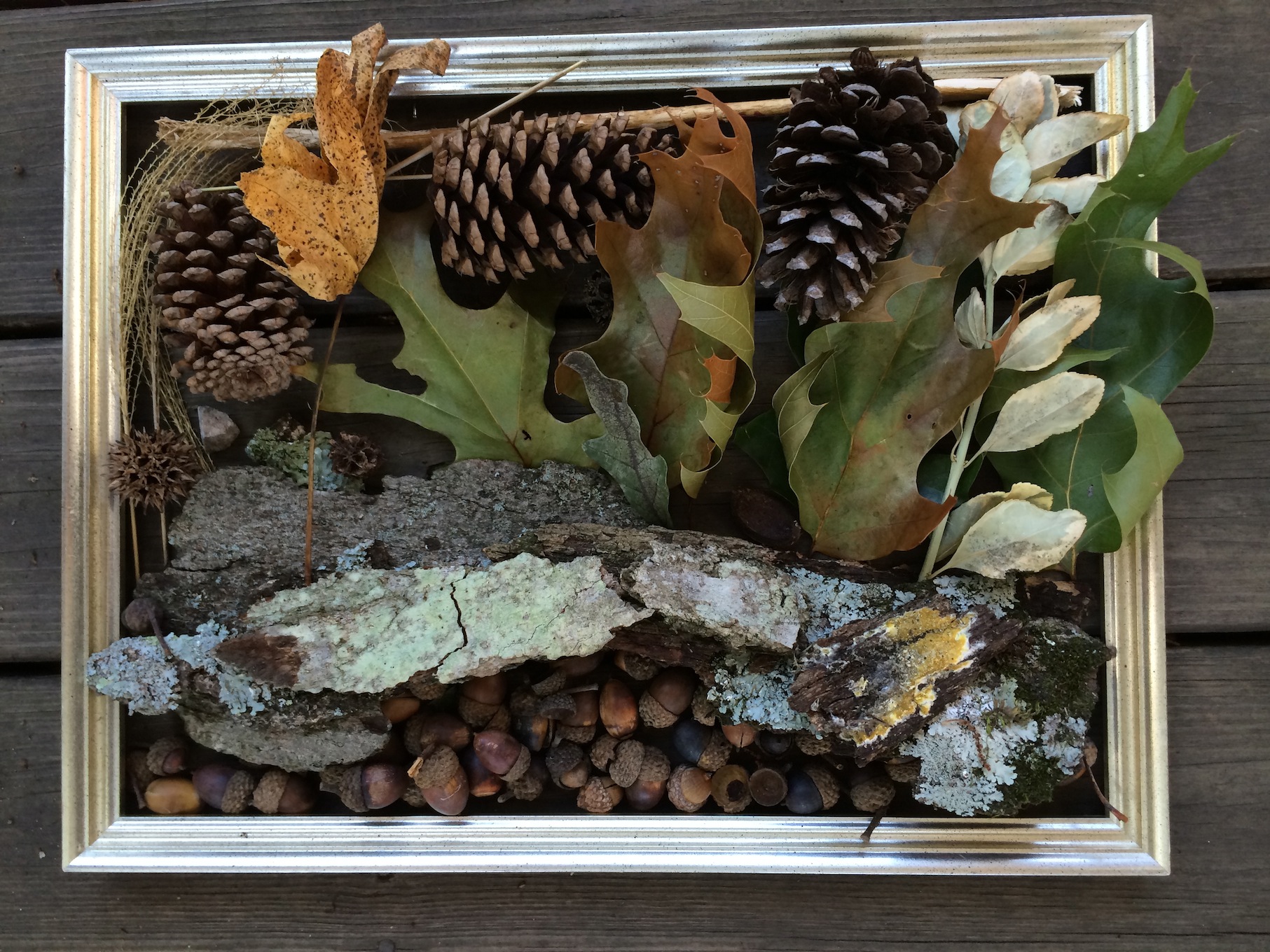 Ephemeral Leaf Art