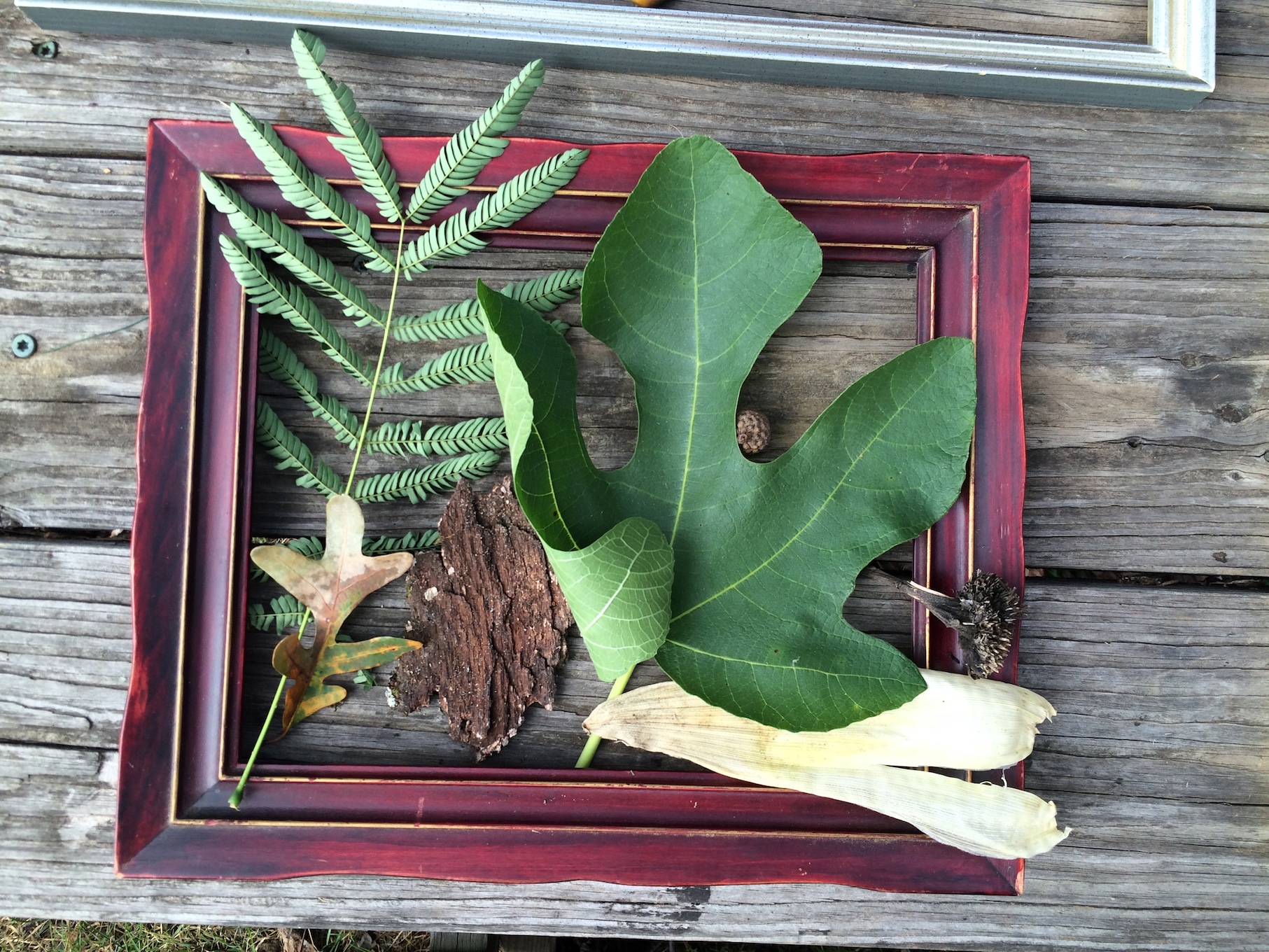 Ephemeral Leaf Art 1