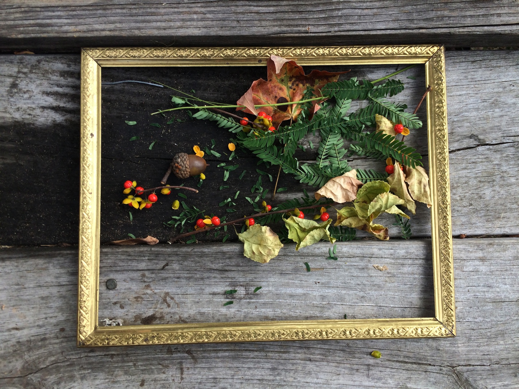 Pages to Projects: Ephemeral Leaf Art