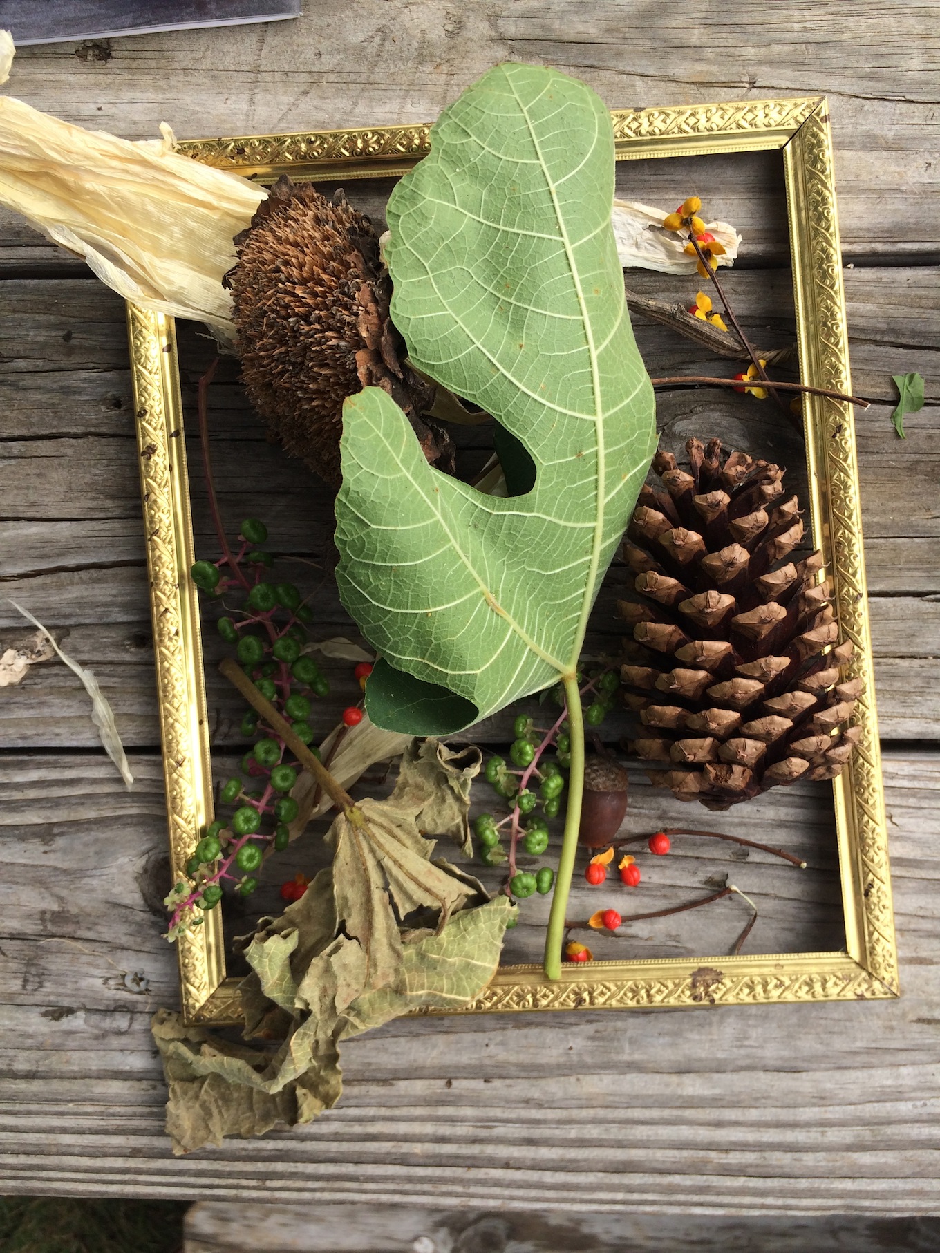 ephemeral leaf art 3