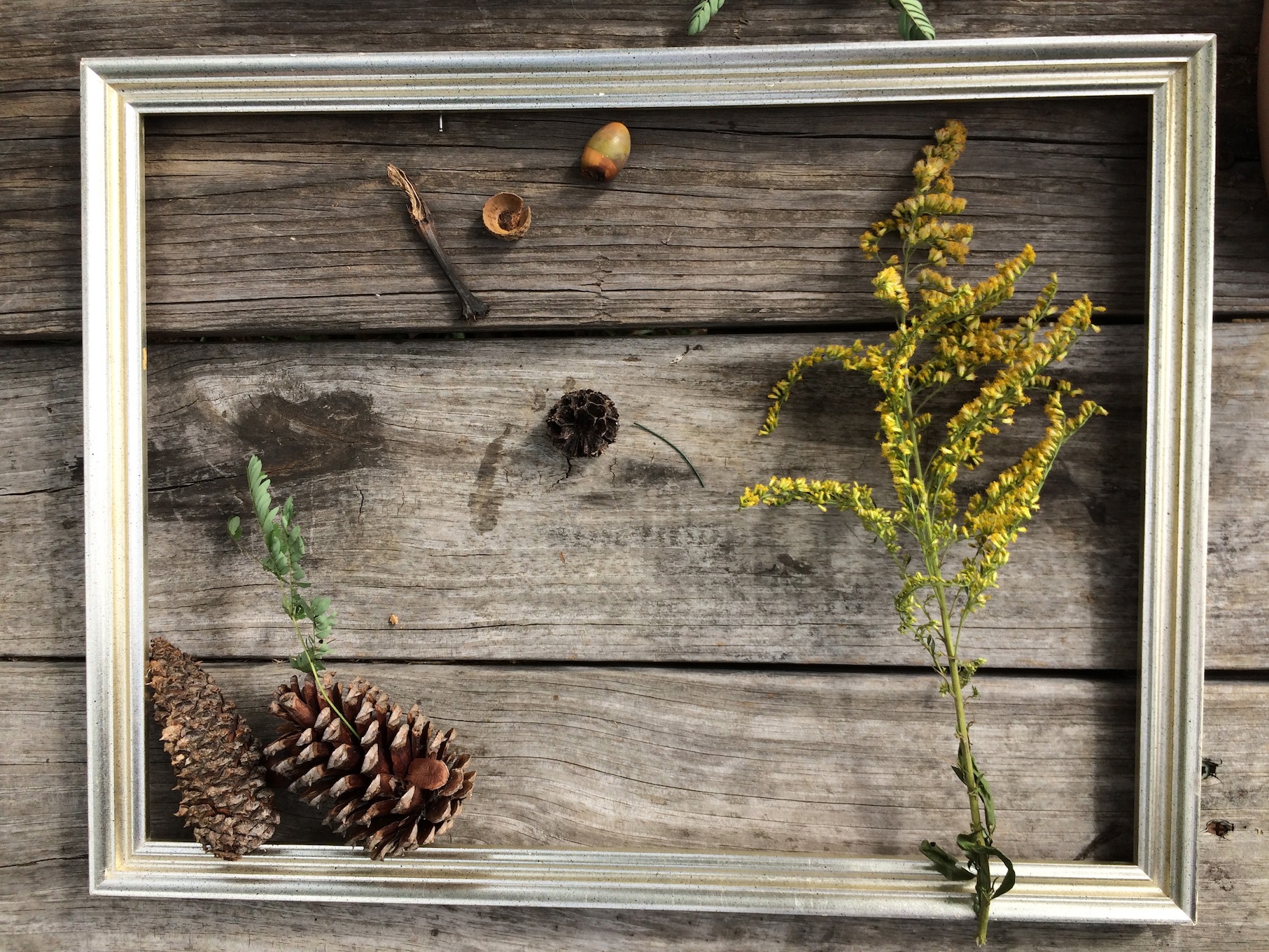 fall ephemeral leaf art 6