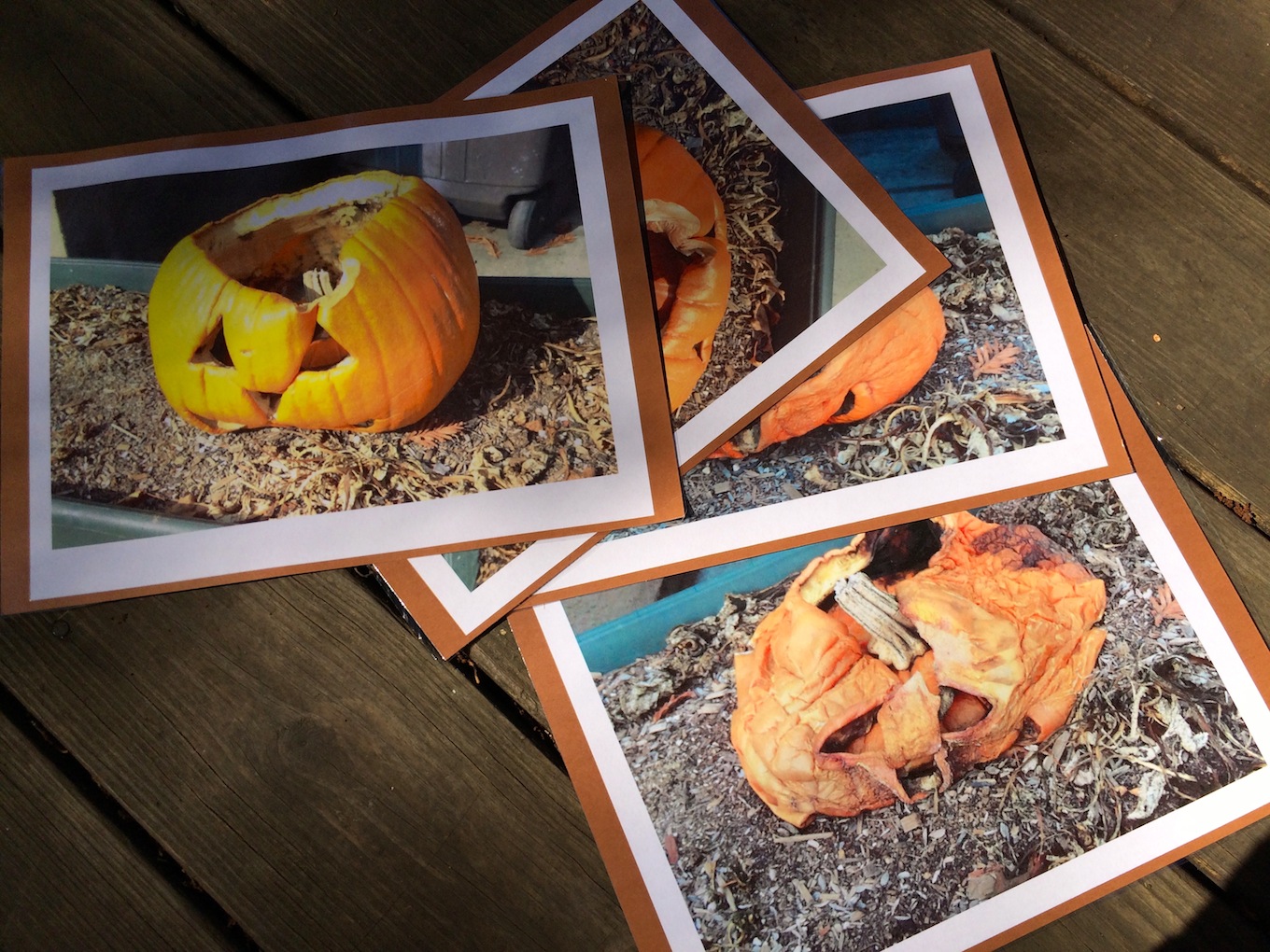 pumpkin compost cards