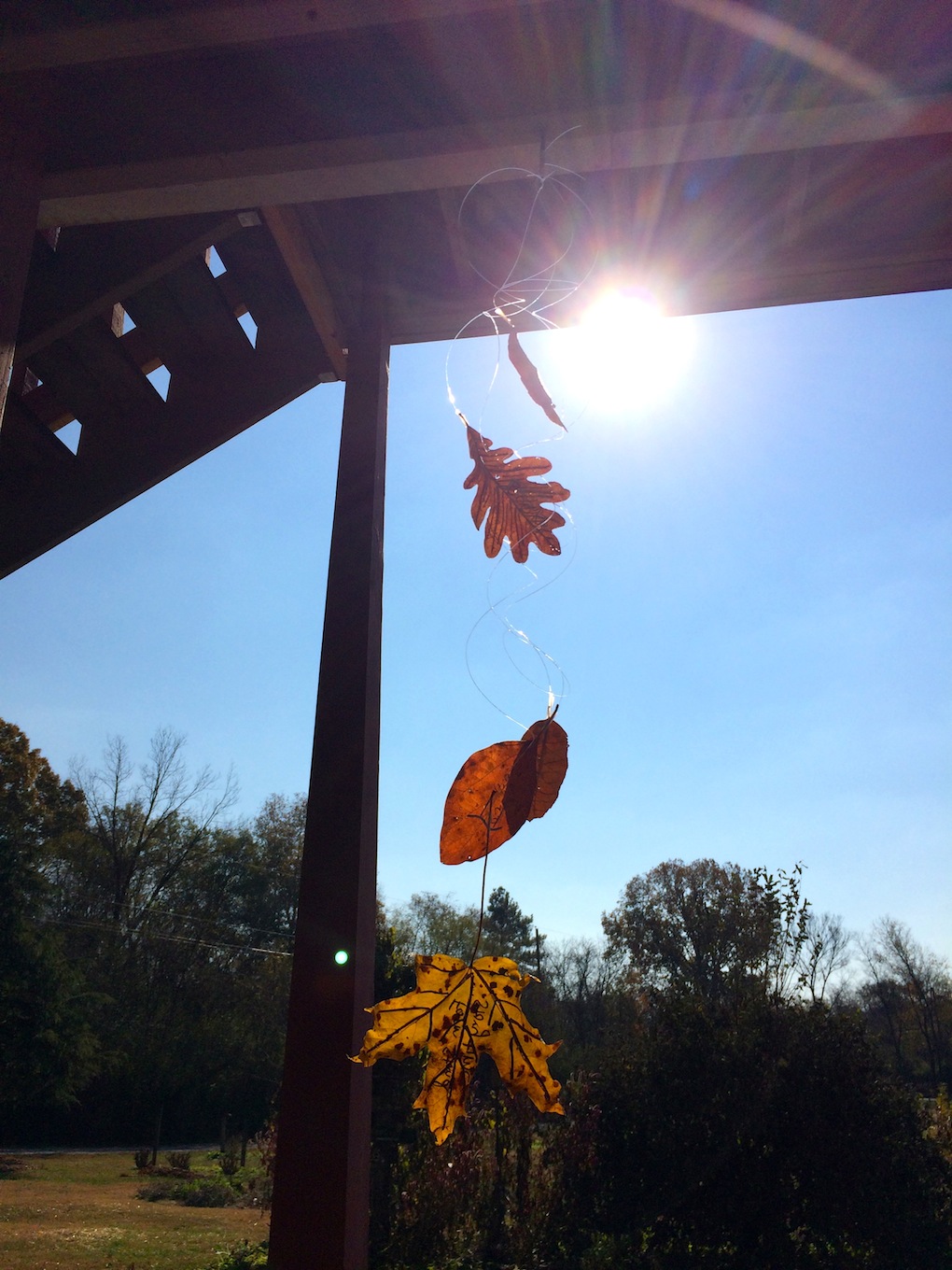 thankful leaves 1