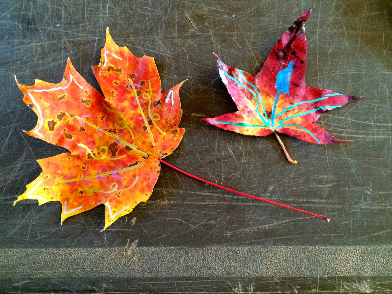 Farm Stand Storytime: Thanks & Giving
