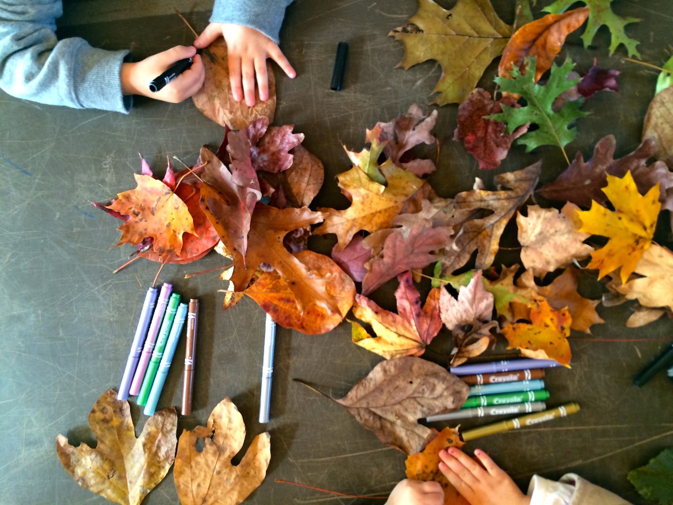 thankful leaves project for kids