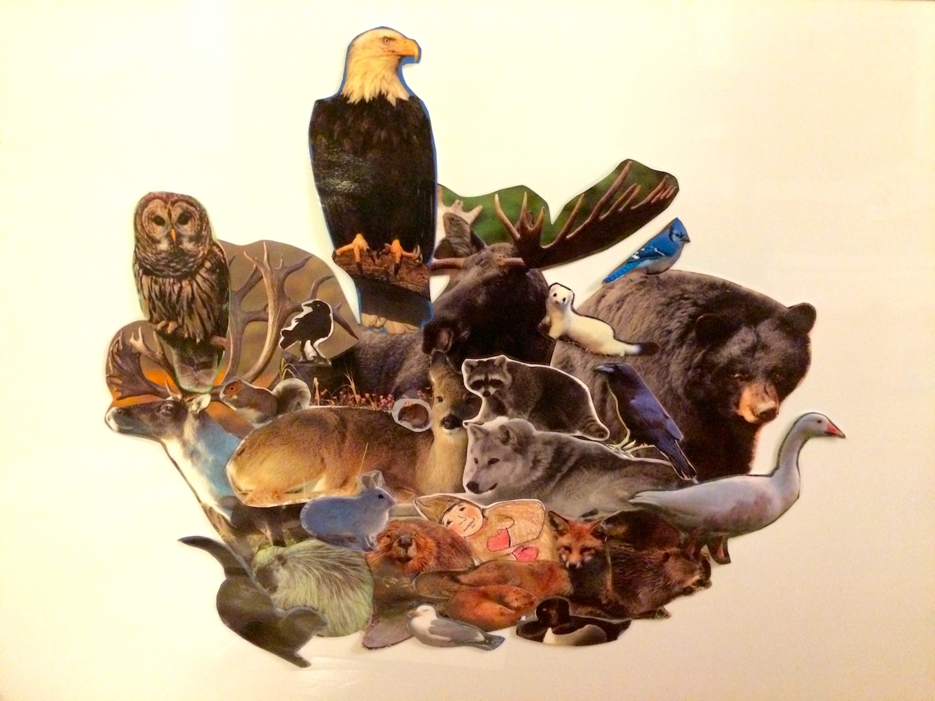 thanks for the animals flannel board