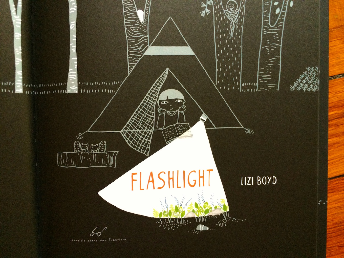 Flashlight Review + Activity