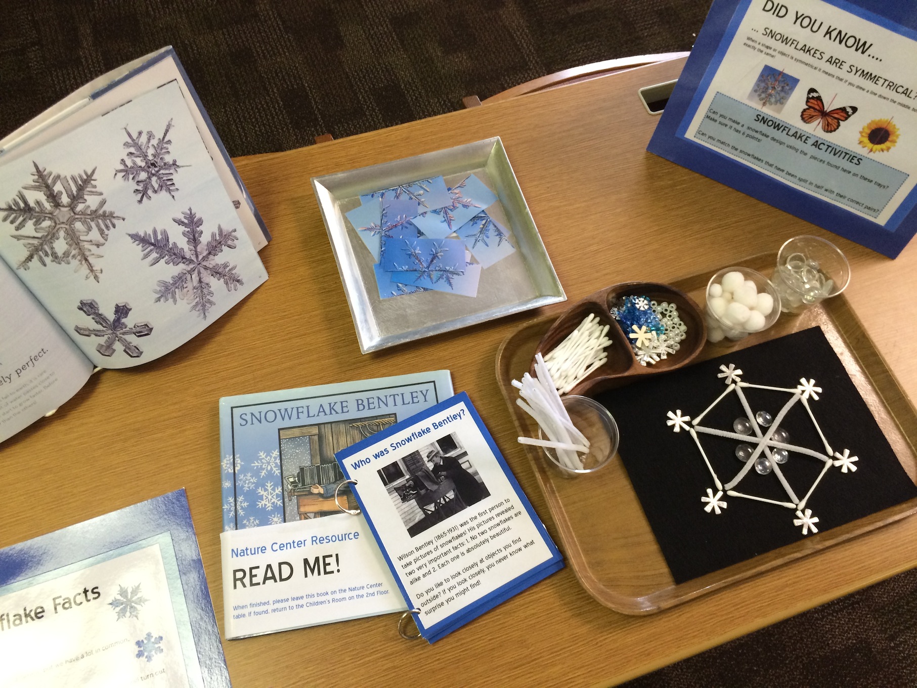 Snowflake Activity Center