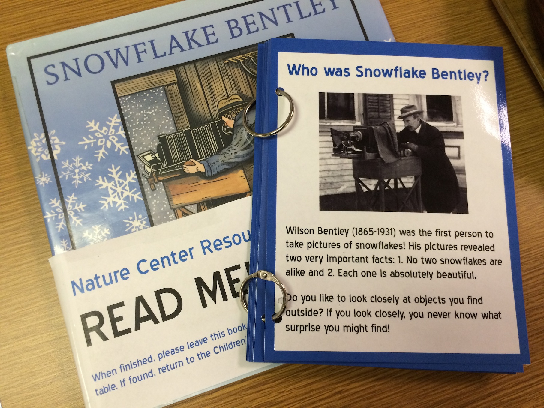 Snowflake Bently Activity