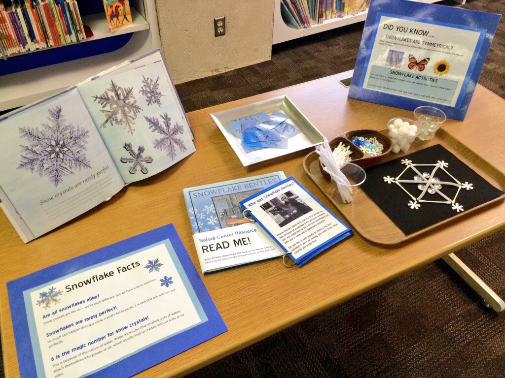 Snowflake Provocations