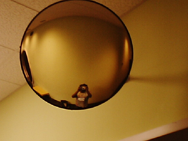 library photography station