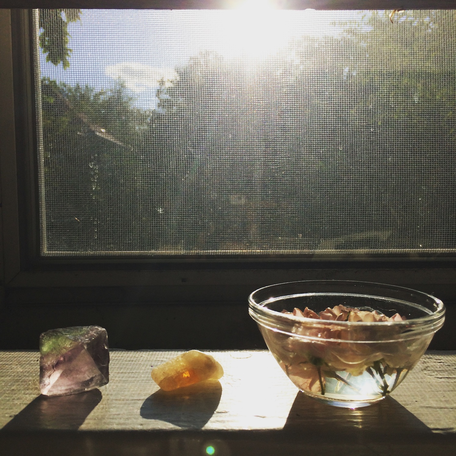 Last Sigh of Summer