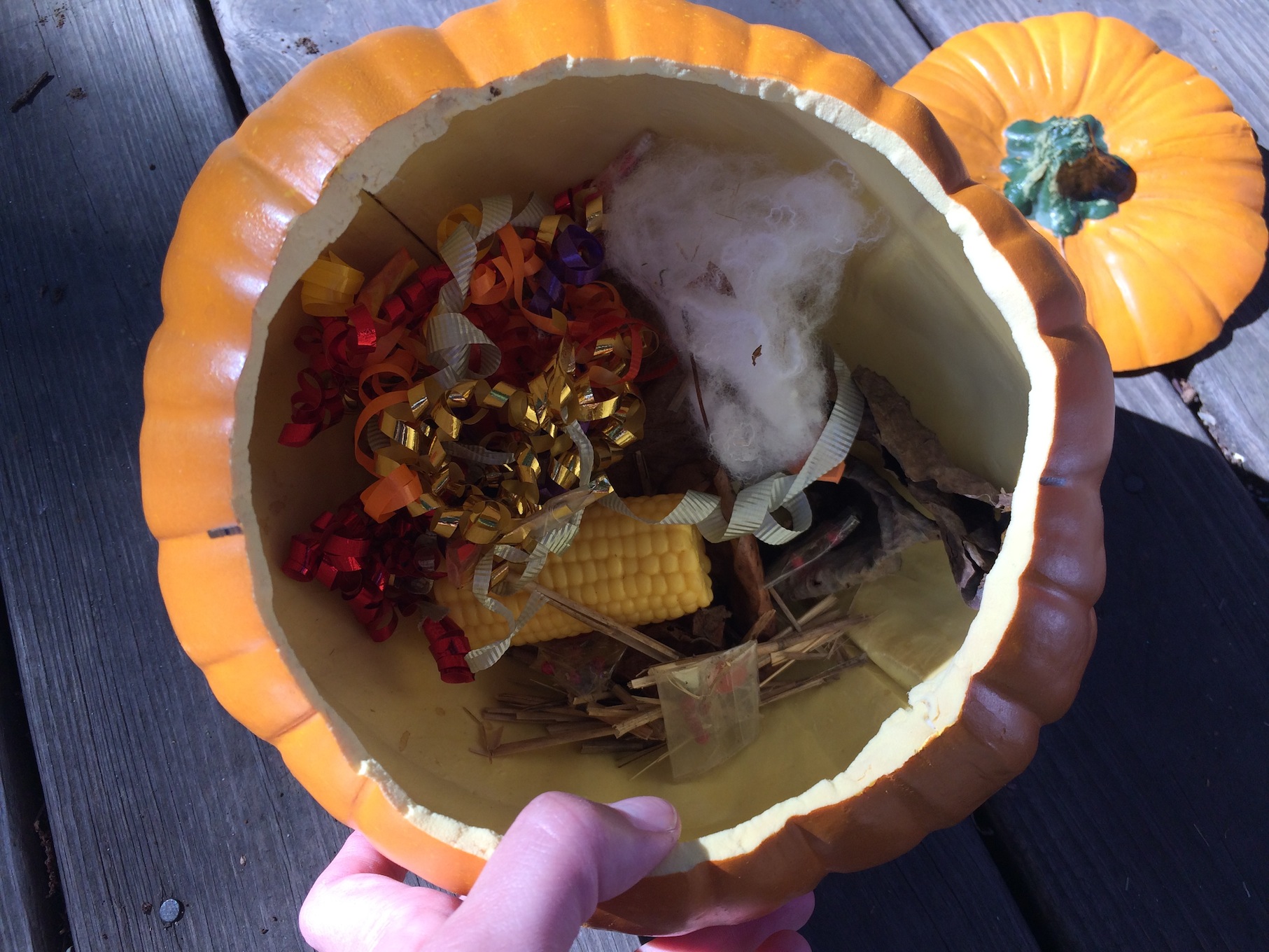 Pumpkin Stew