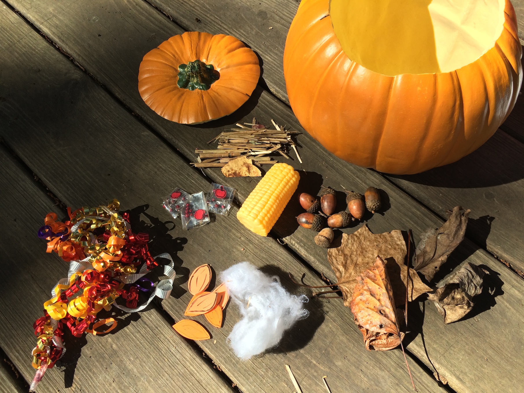 Pumpkin Stew