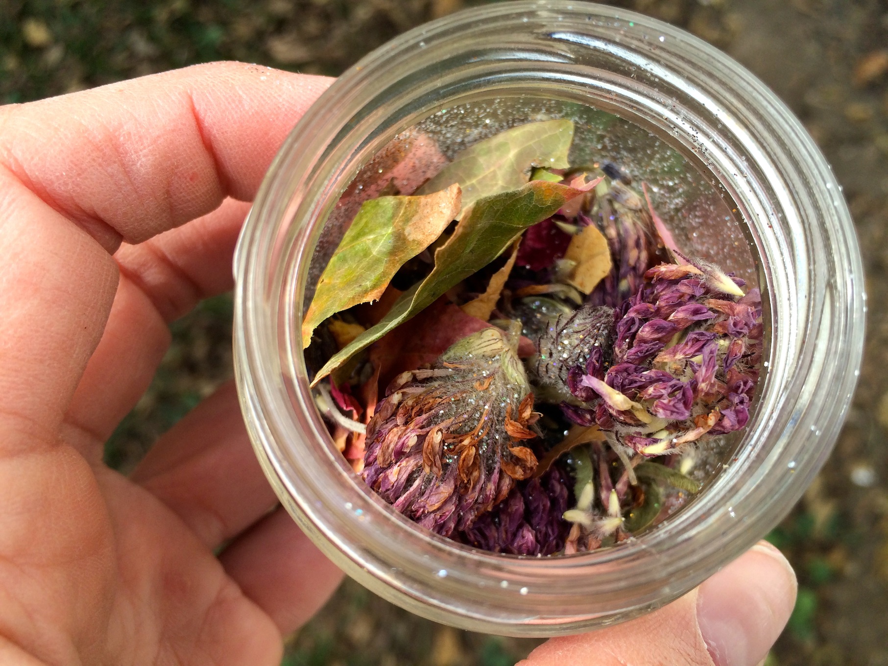 Autumn Fairy Dust 6