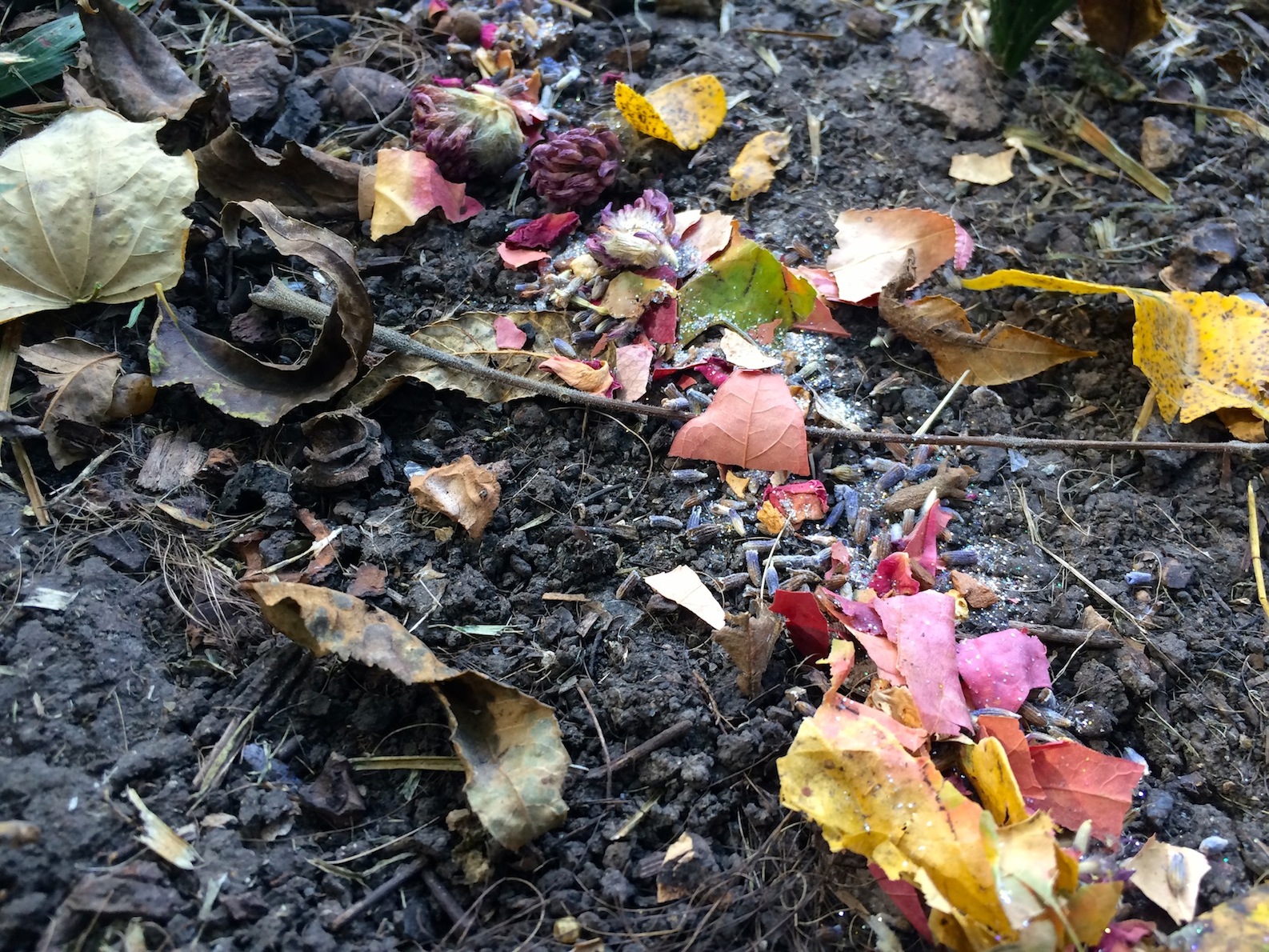 Autumn Fairy Dust 7