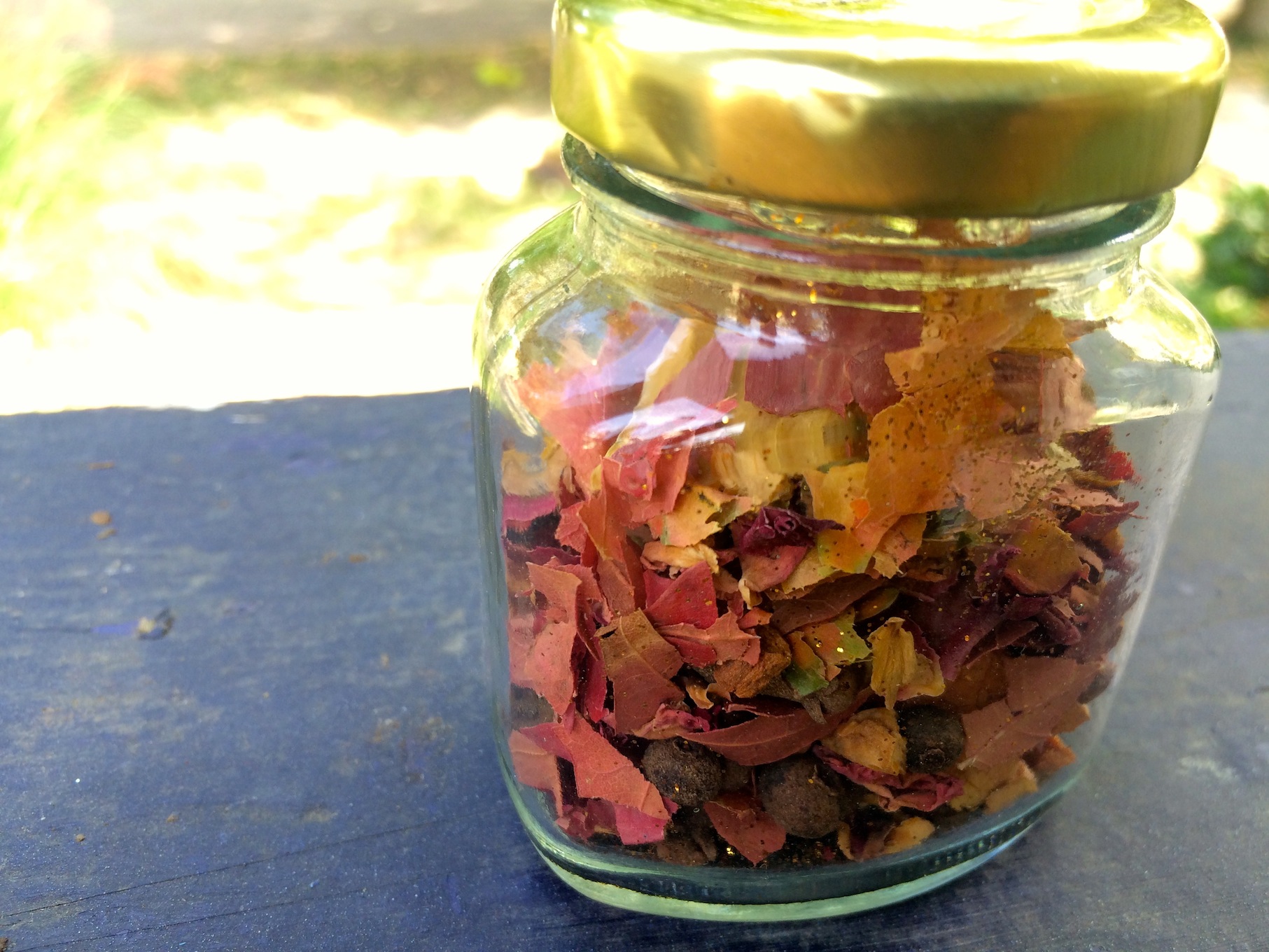 Autumn Nature Acitvity Autumn Fairy Dust